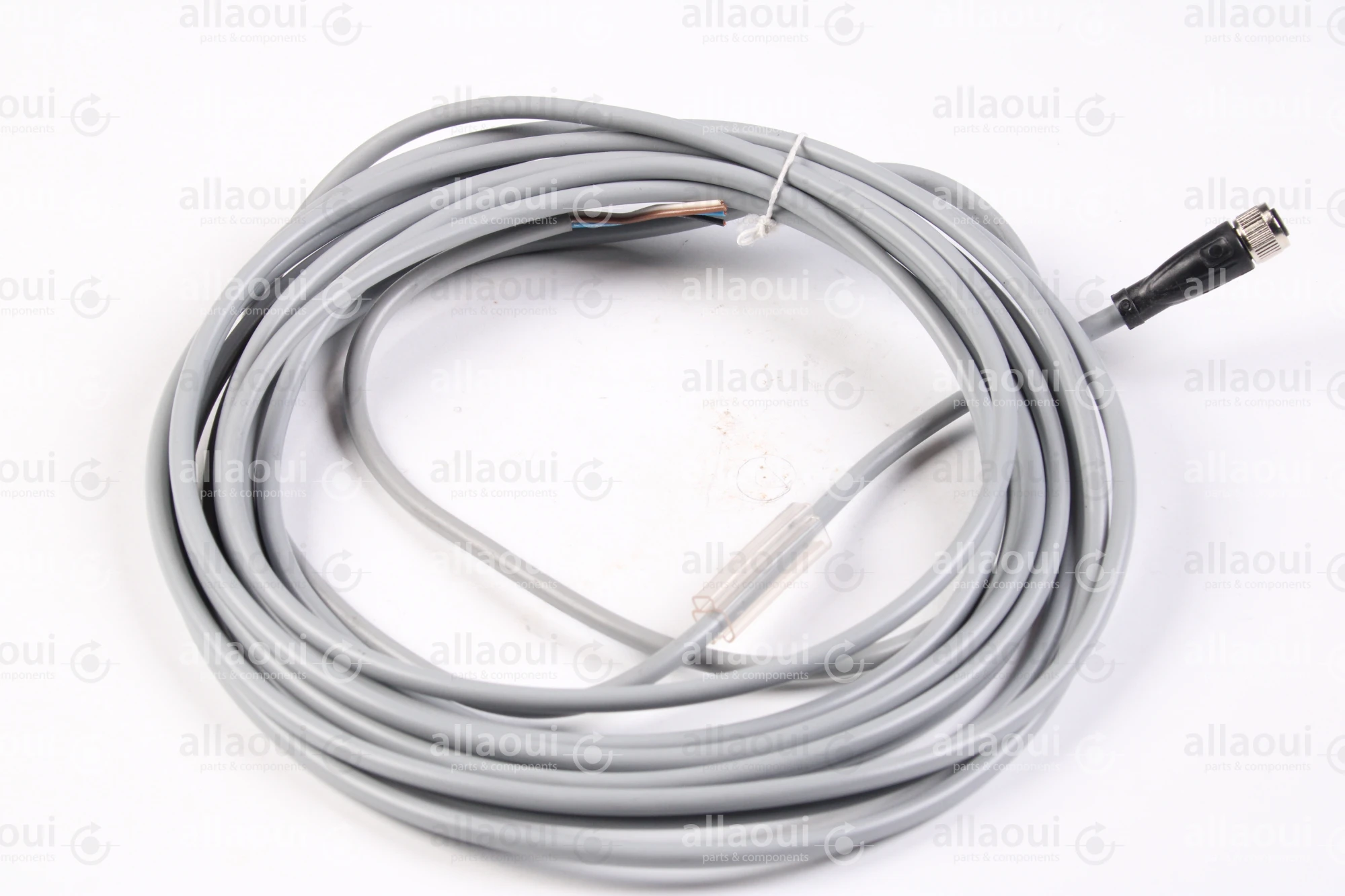 PEPPERL+FUCHS Female cordset V31-GM-5M-PVC PEPPERL+FUCHS Female cordset V31-GM-5M-PVC