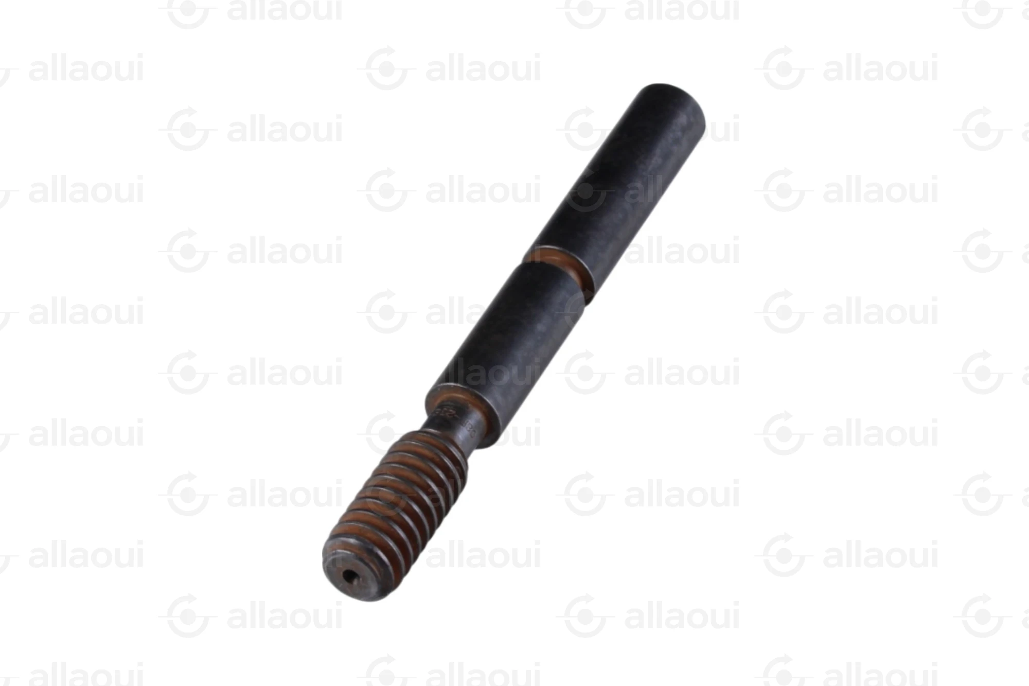 Manroland Worm 8008F302351