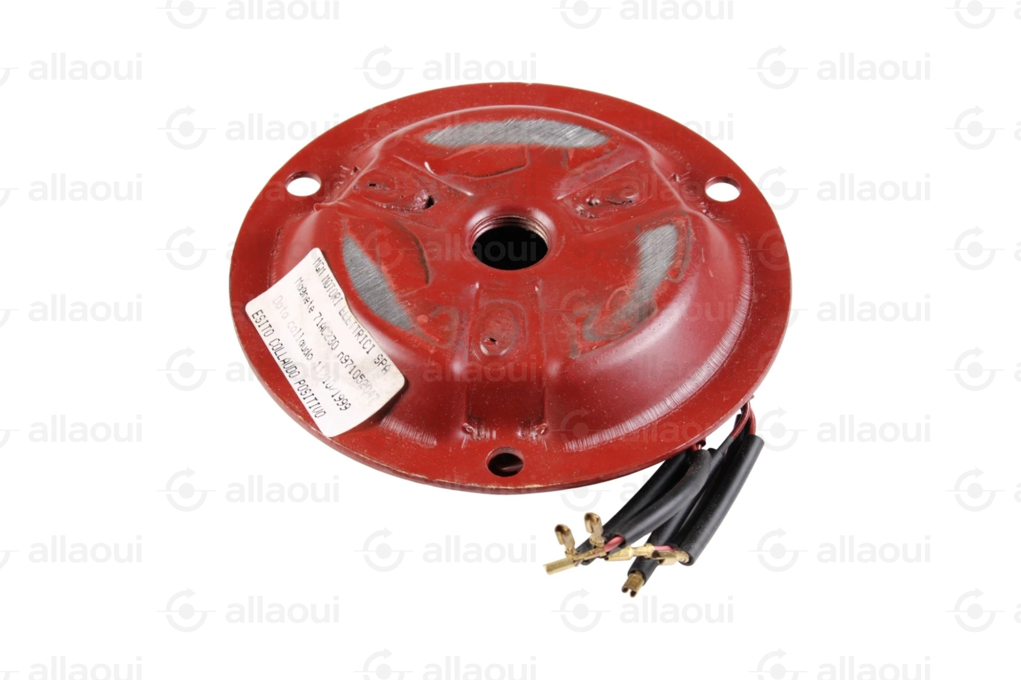MGM Motori Elettrici Spa Brake Coil 71AC230