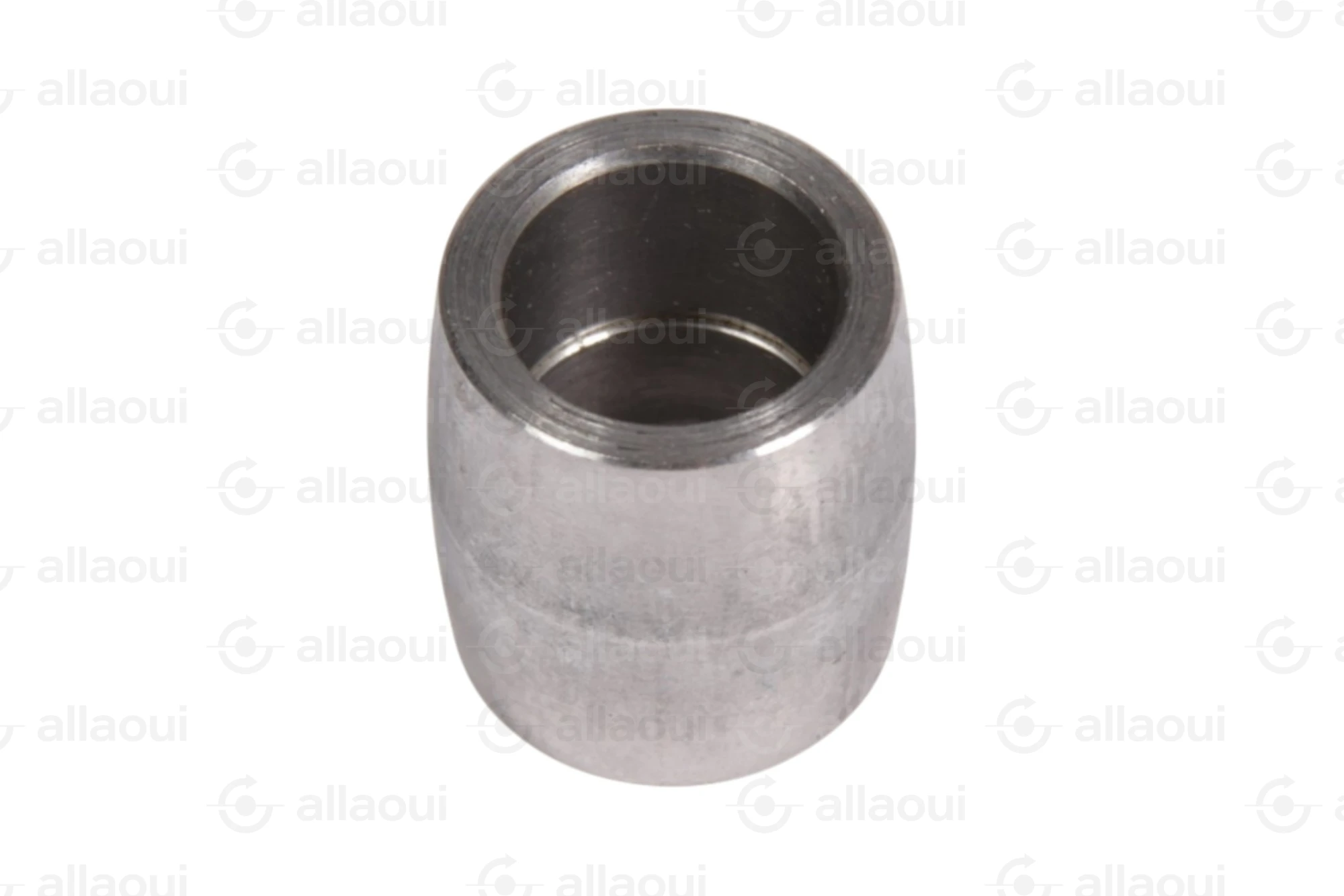 Manroland Pulley 16.31273-0017