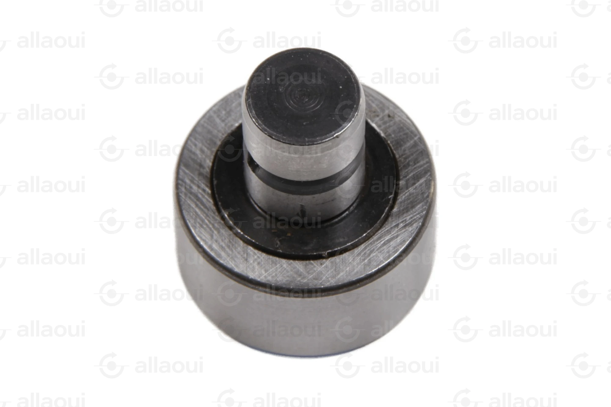 INA Cam Follower F-229817