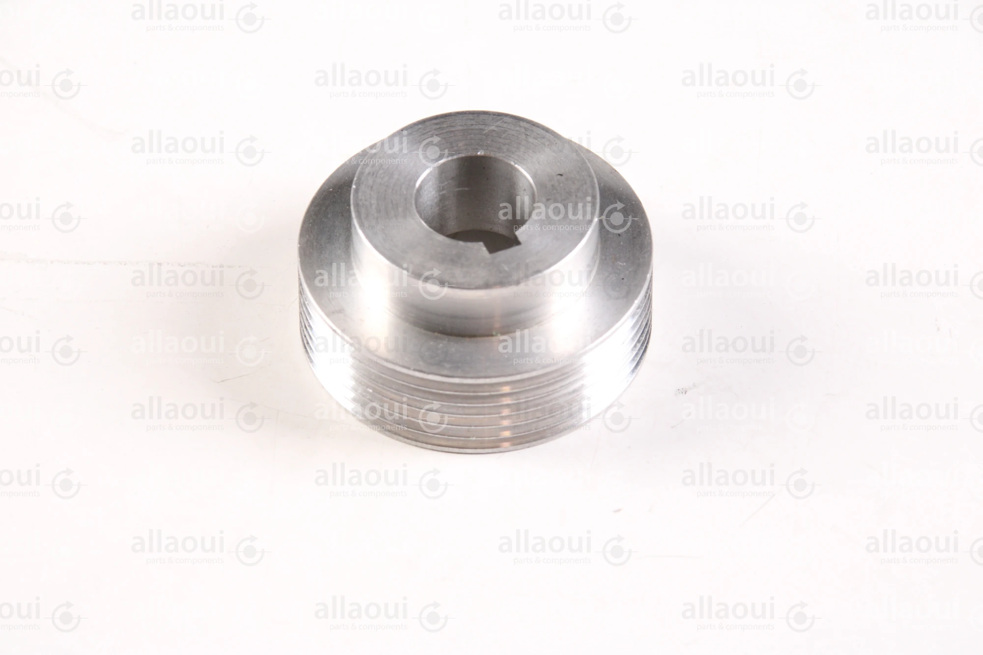 OMS Group Pulley R11518 OMS Group Pulley R11518