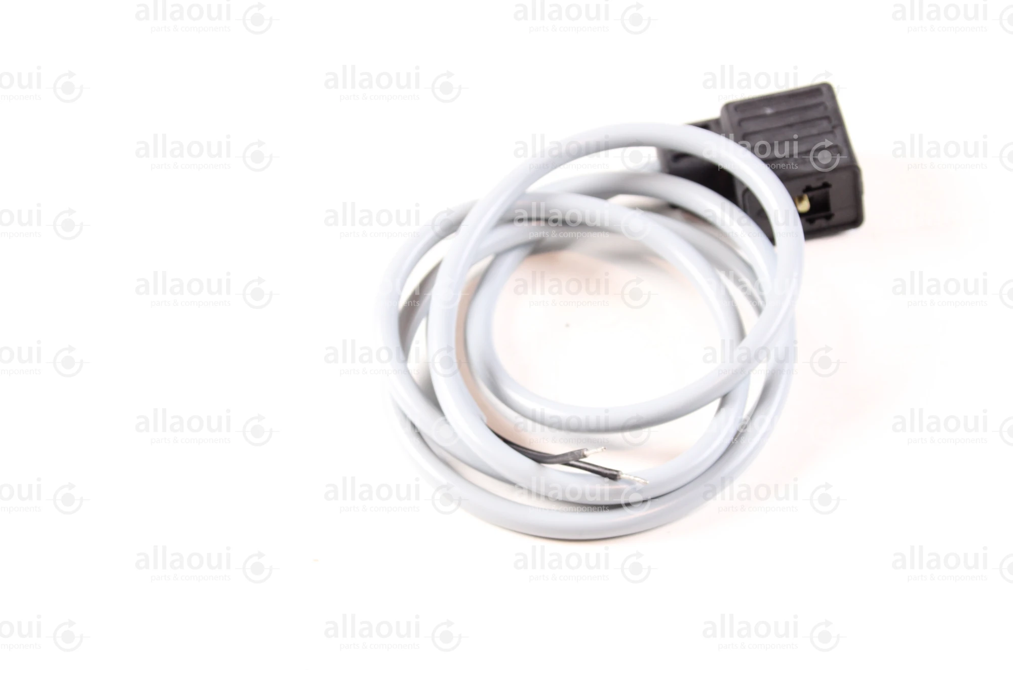 Escha 2-Pole Magnet Connector with Cable TBS20-2.048-1,2/P00 Escha 2-Pole Magnet Connector with Cable TBS20-2.048-1,2/P00