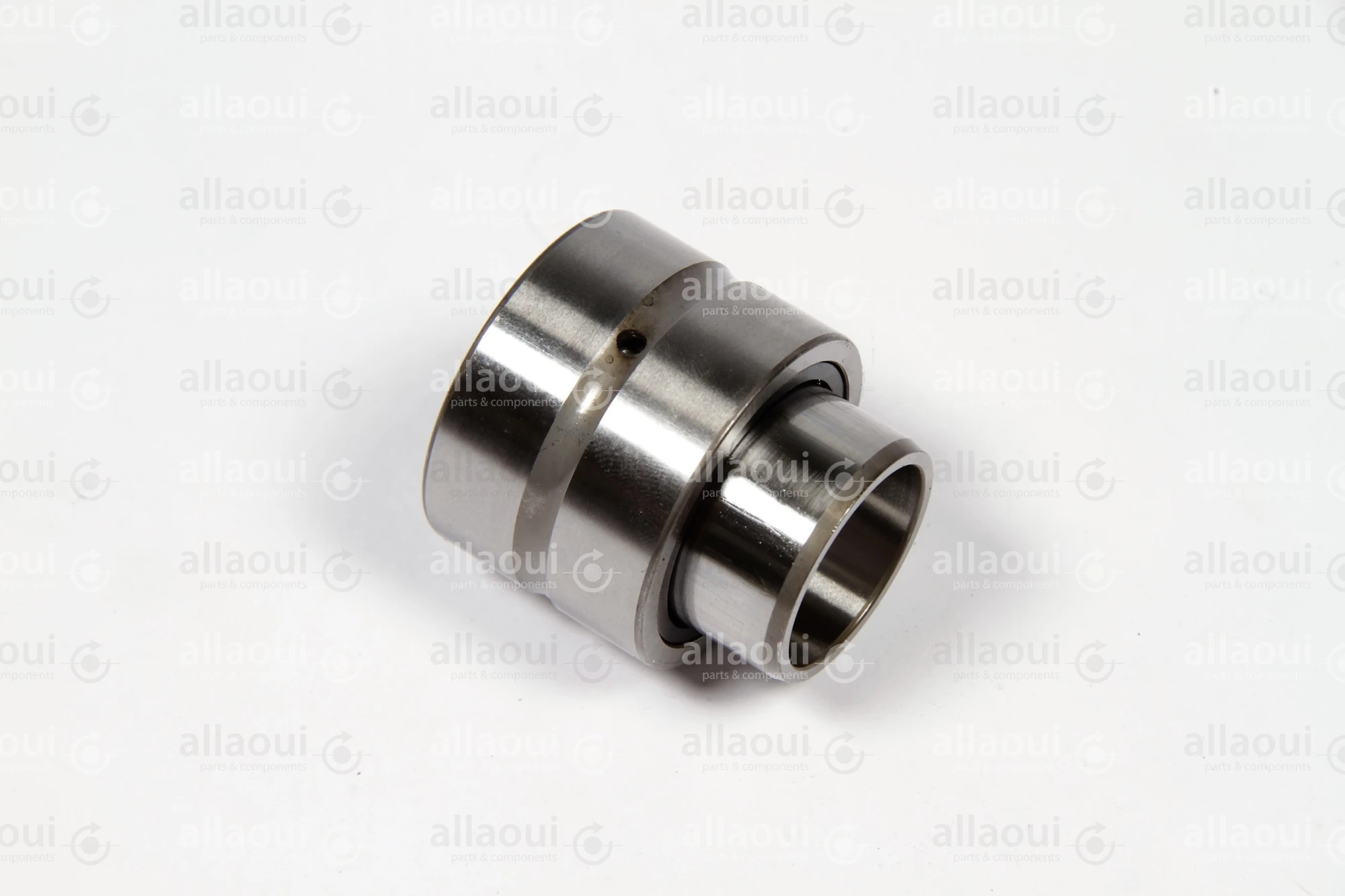 INA Bearing NA 6905 INA Bearing NA 6905