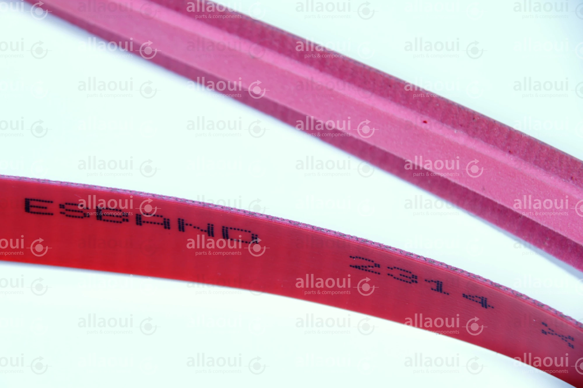 MBO Transport Belt 10.6400.0349 MBO Transport Belt 10.6400.0349