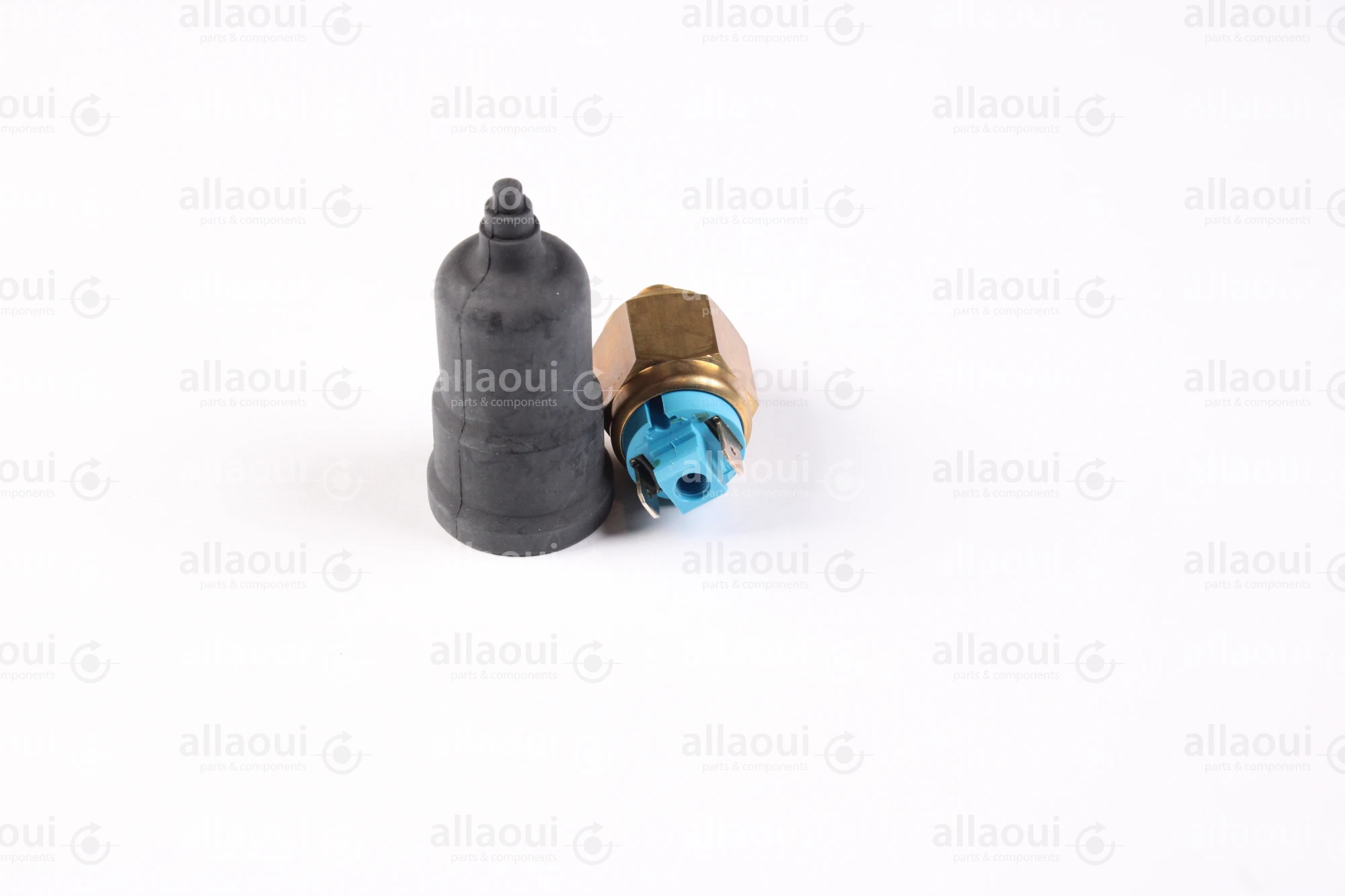 Elettra Pressure Switch 2000981-00 Elettra Pressure Switch 2000981-00