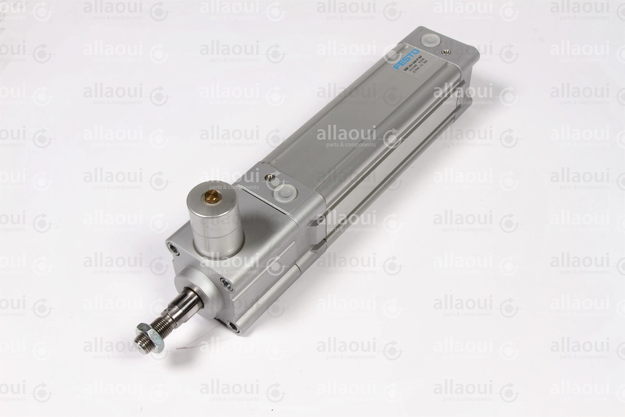 Festo Pneumatic Cylinder DNC-63-160-PPV-A Festo Pneumatic Cylinder DNC-63-160-PPV-A