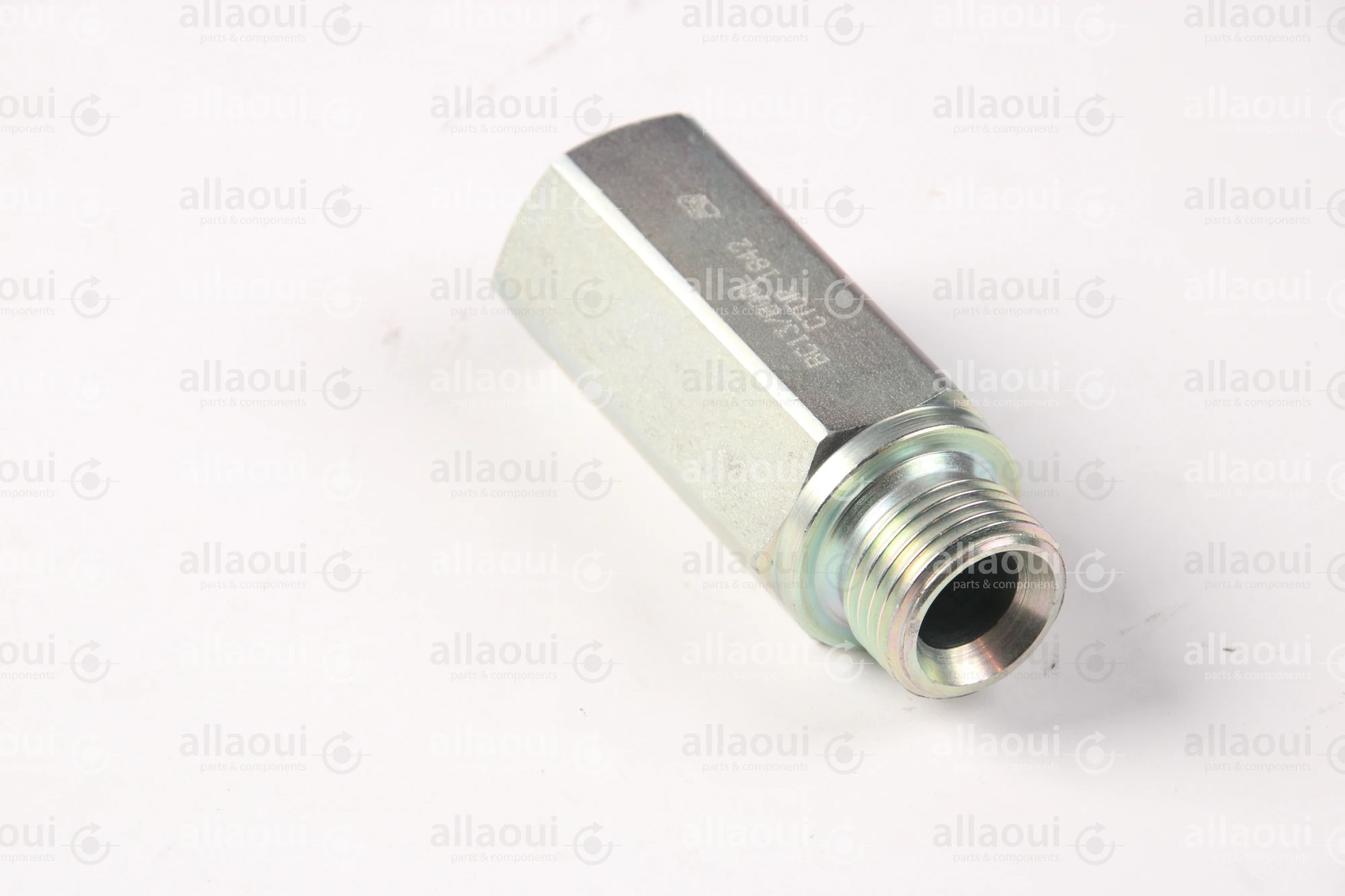 Contiweb Load Holding Valve WH090453655 Contiweb Load Holding Valve WH090453655