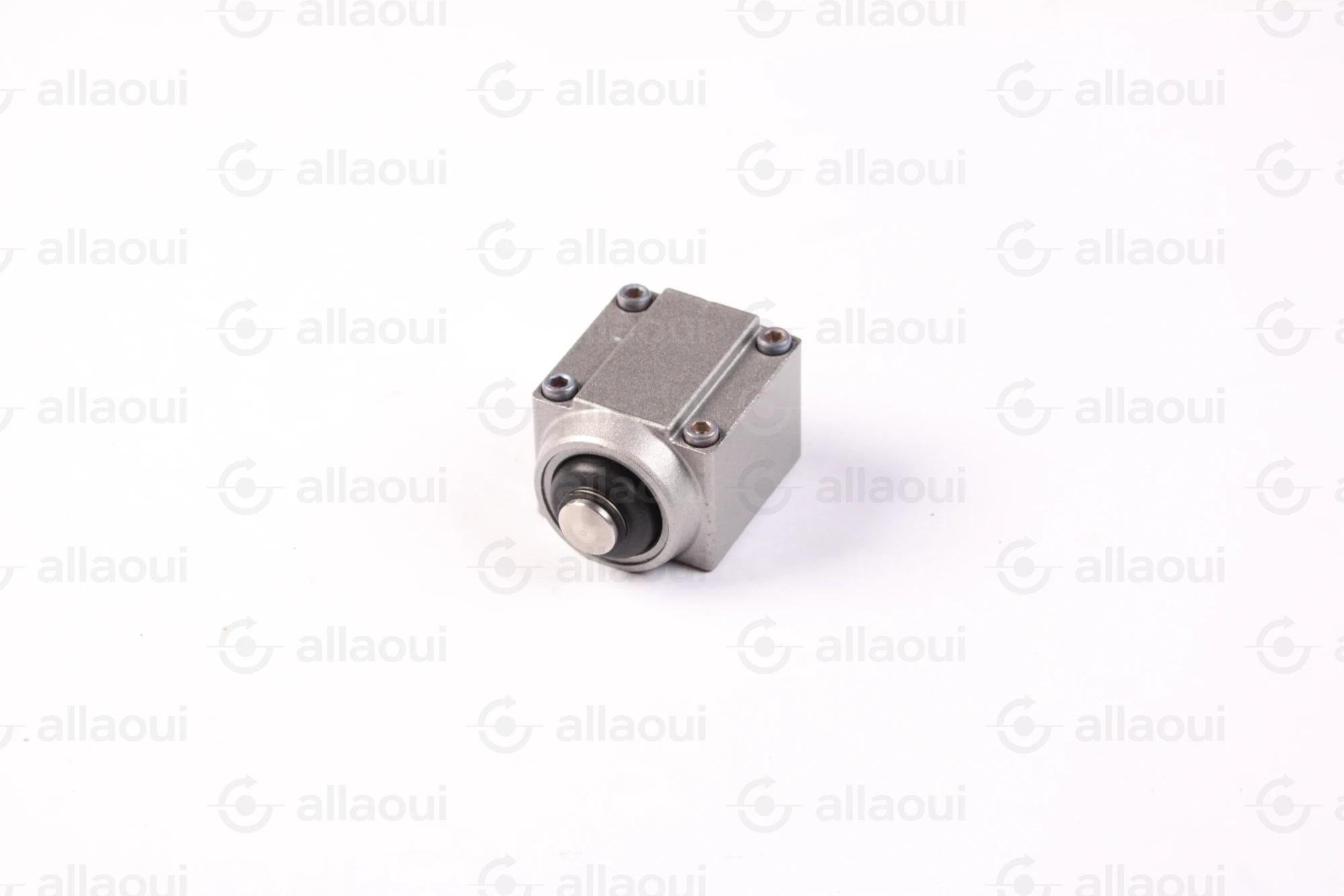 Telemecanique Limit switch head ZC2JE636