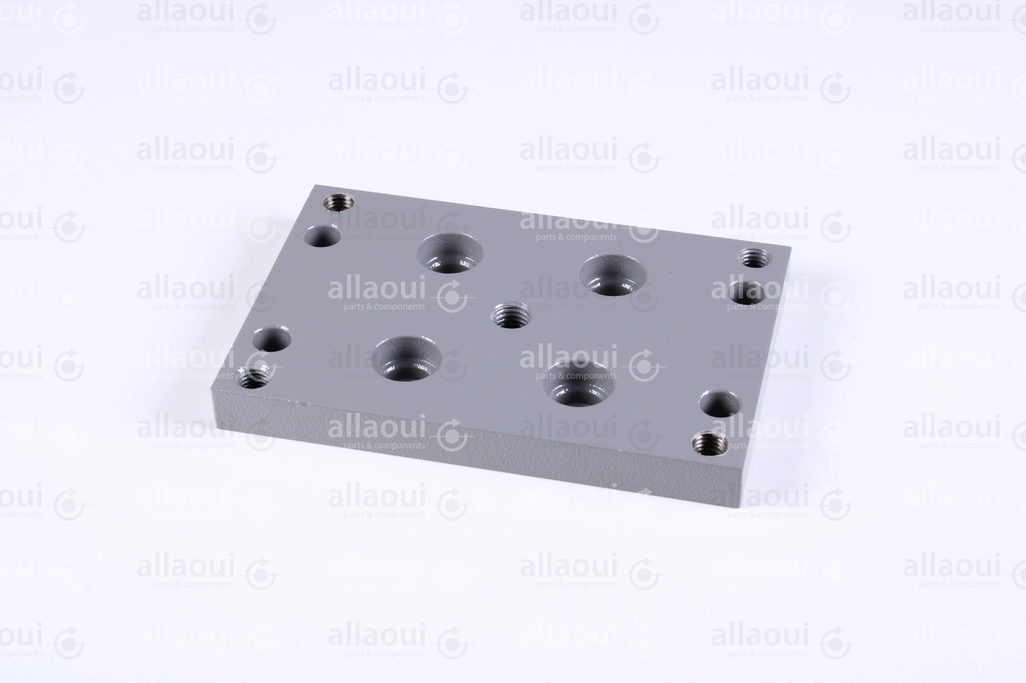 Polar Holder 282307 Polar Holder 282307