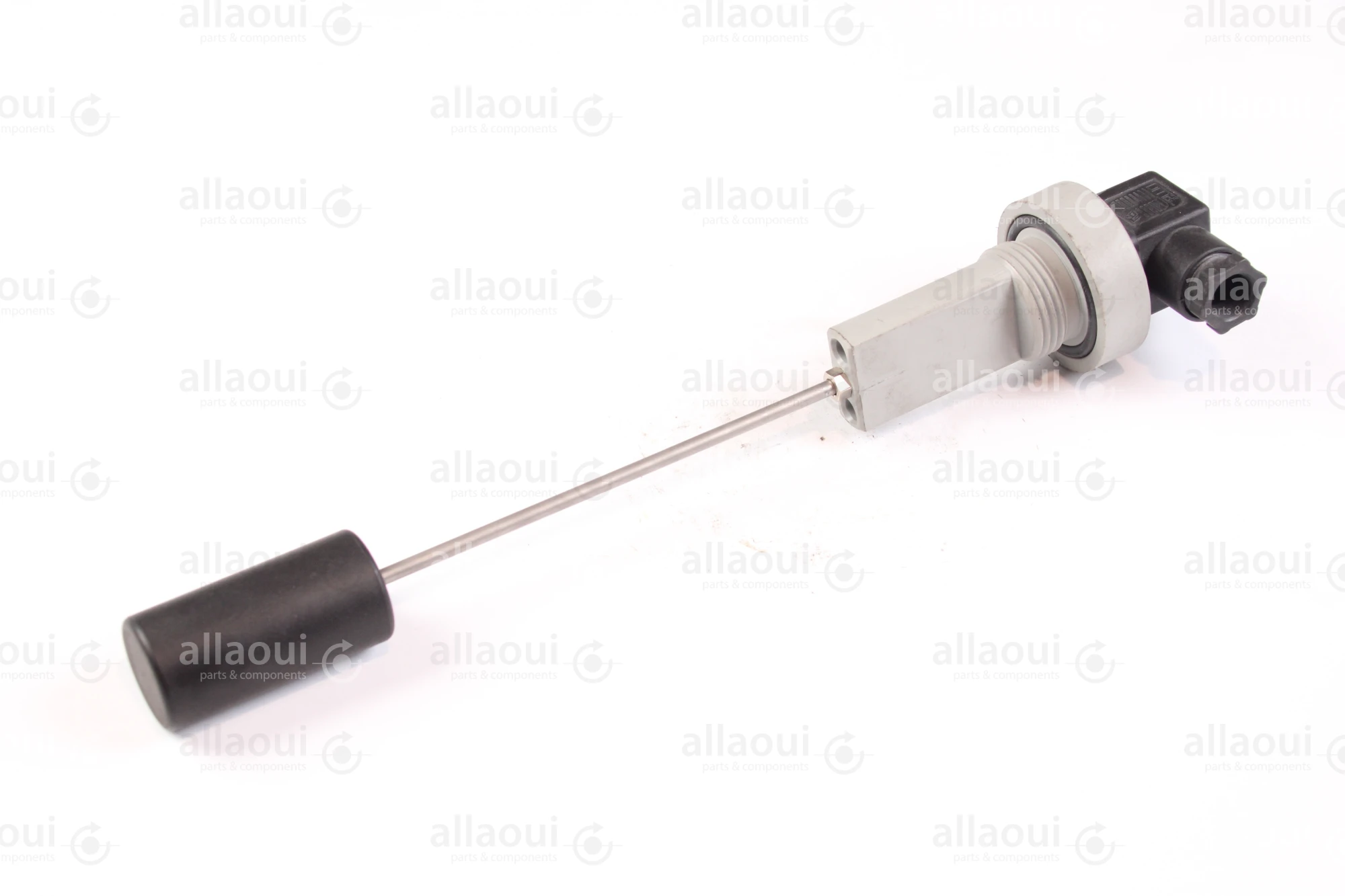 F. lli Giacomello Single Float Level Switch RL-G1-1-S2 F. lli Giacomello Single Float Level Switch RL-G1-1-S2