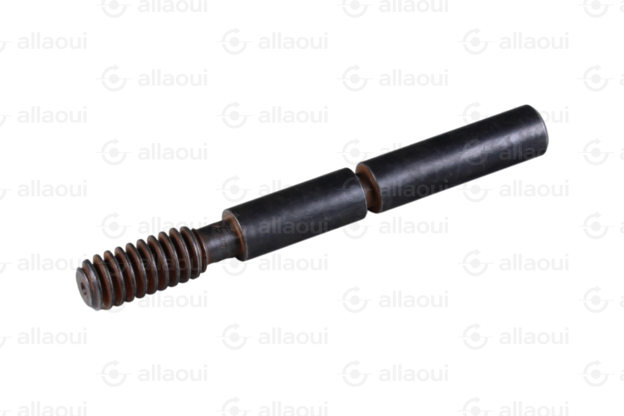 Manroland Worm 8008F302351