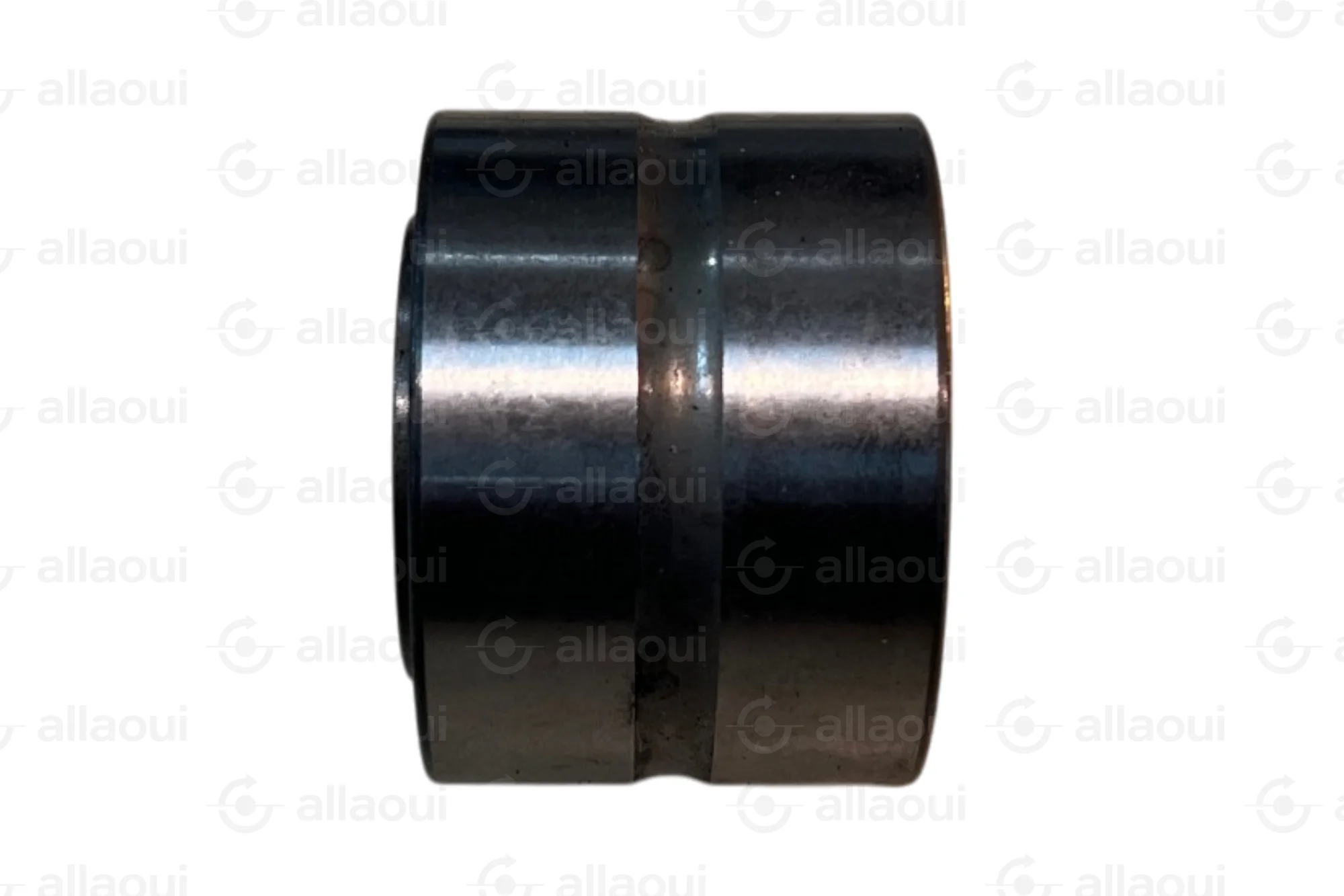 INA Needle Roller Bearing NA6905XL NA6905XL