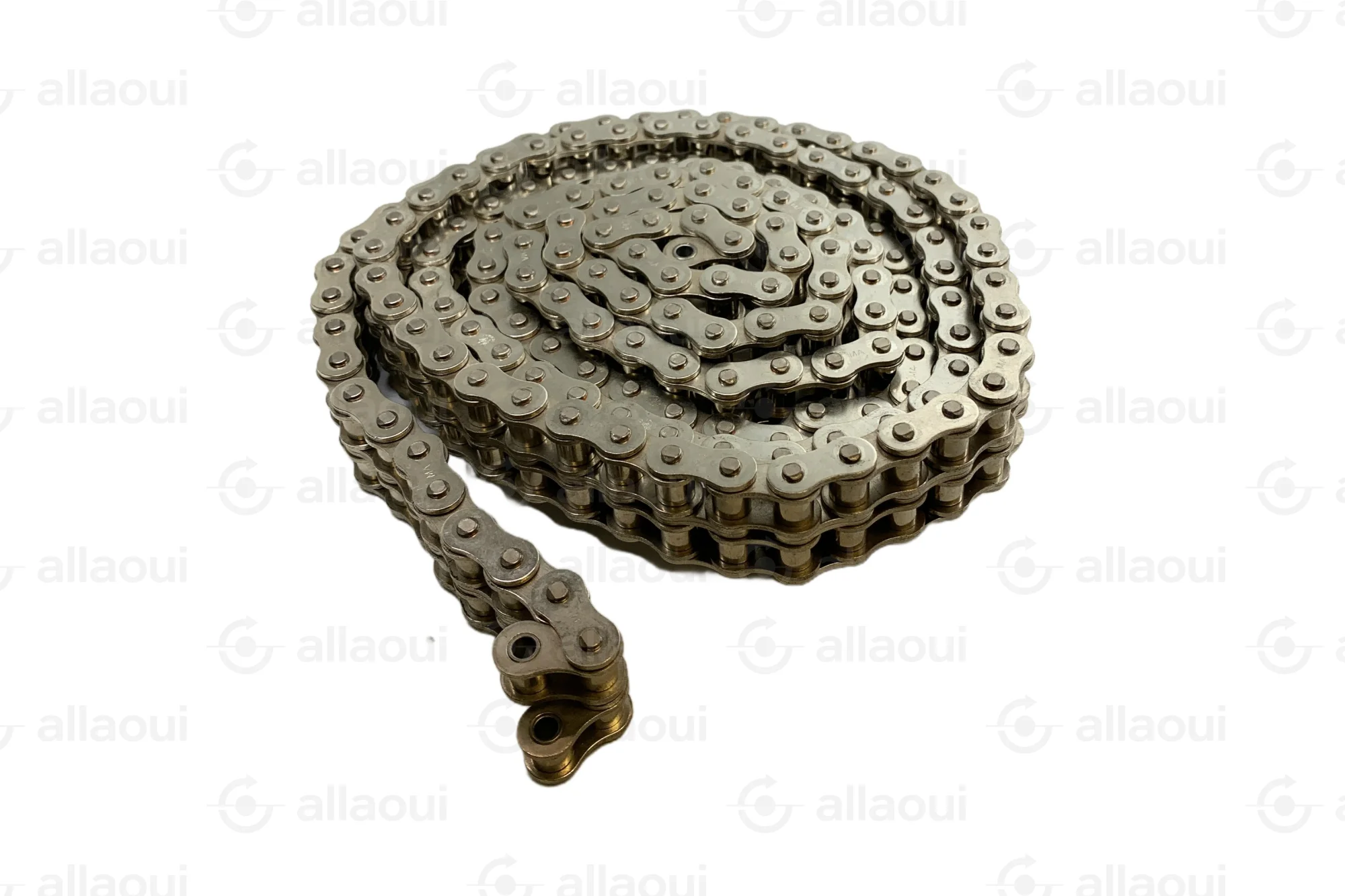 Perfecta Double roller chain for shaking table BASA Marathon version 83928