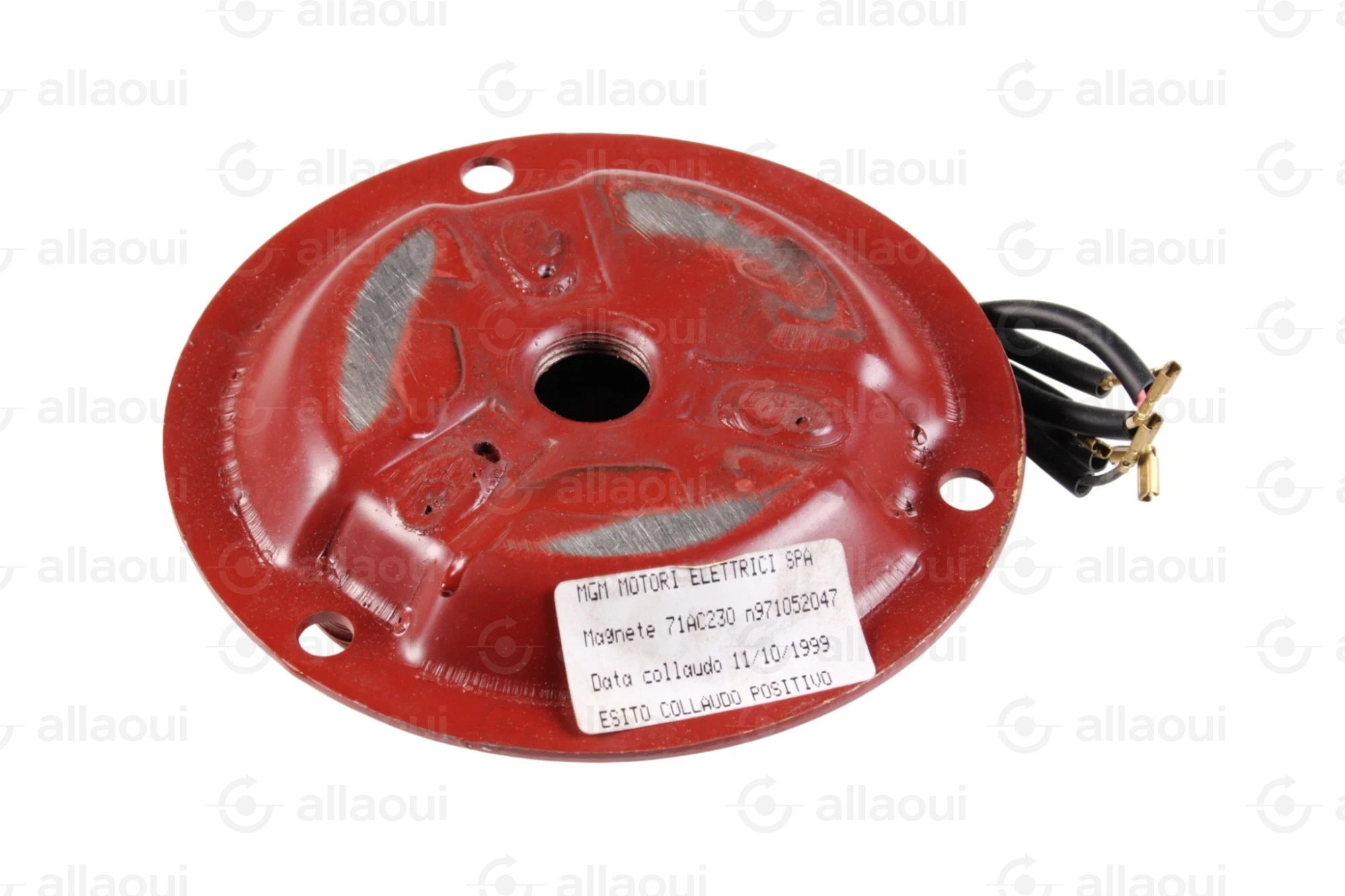MGM Motori Elettrici Spa Brake Coil 71AC230