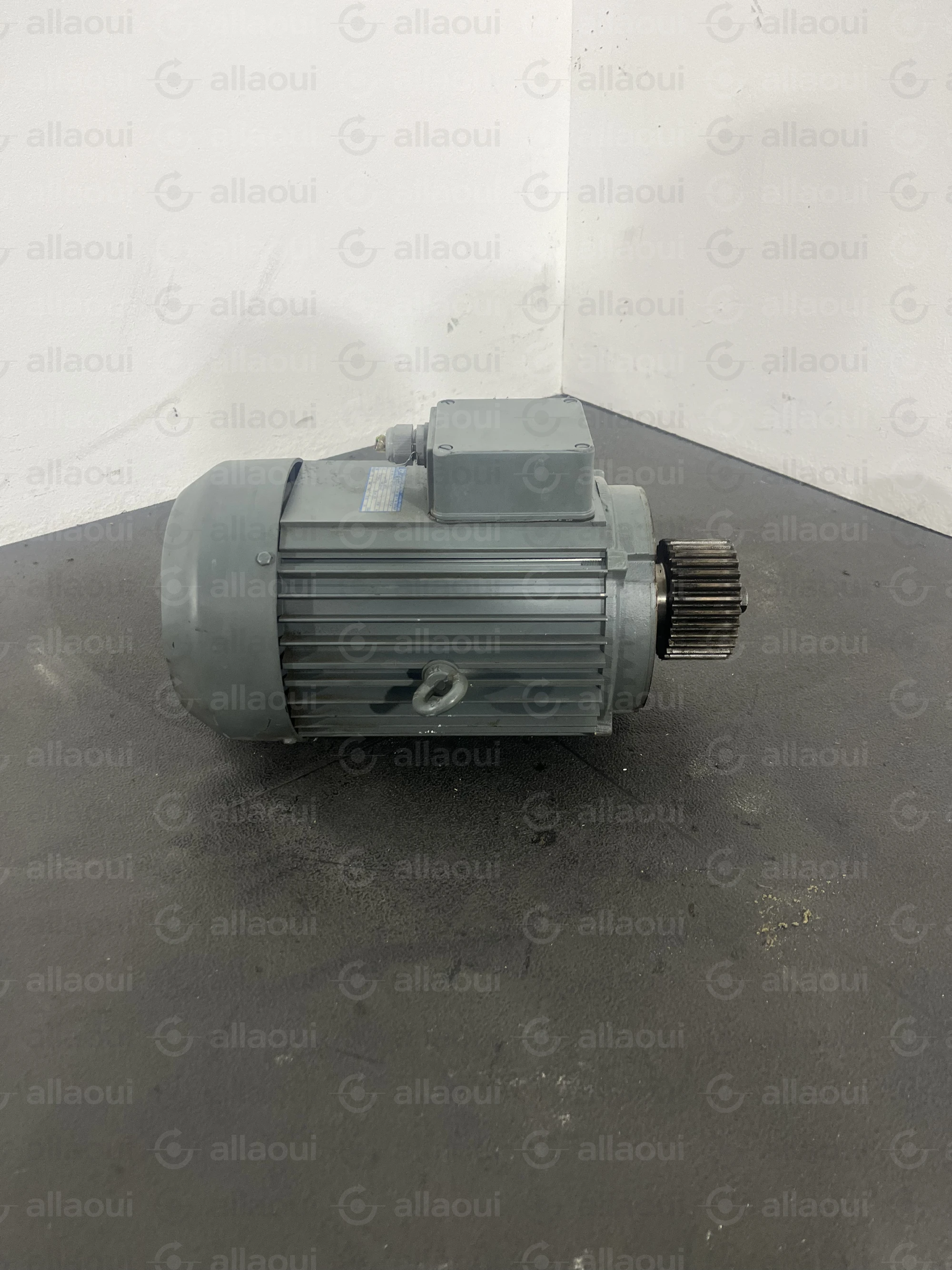 ABM Greiffenberger Motor 4DF100LC-4 ABM Greiffenberger Motor 4DF100LC-4