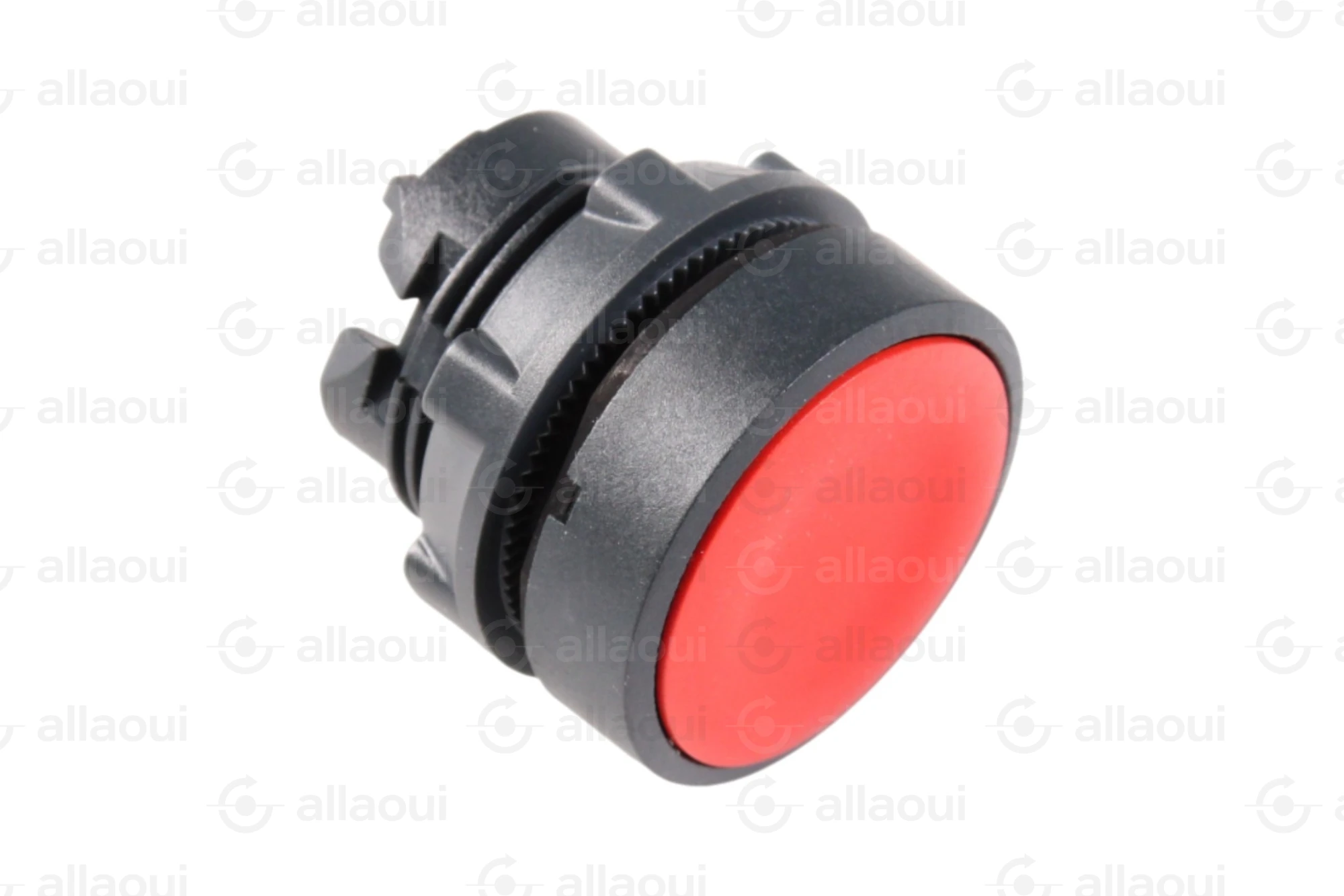 Schneider Electric Push Button ZB5AA4