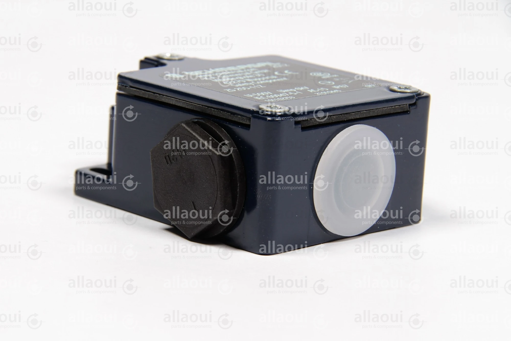 Schmersal Switch ZS 255-11Z Schmersal Switch ZS 255-11Z