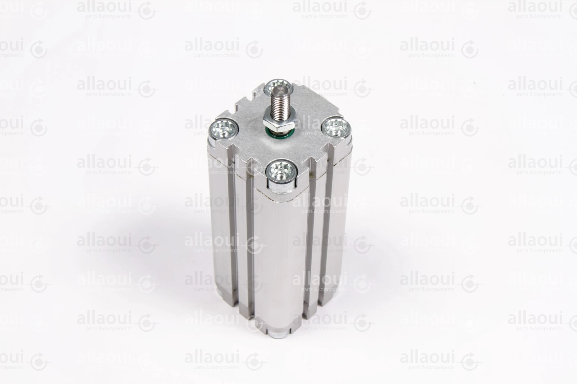 Festo Pneumatic Cylinder 156045 Festo Pneumatic Cylinder 156045