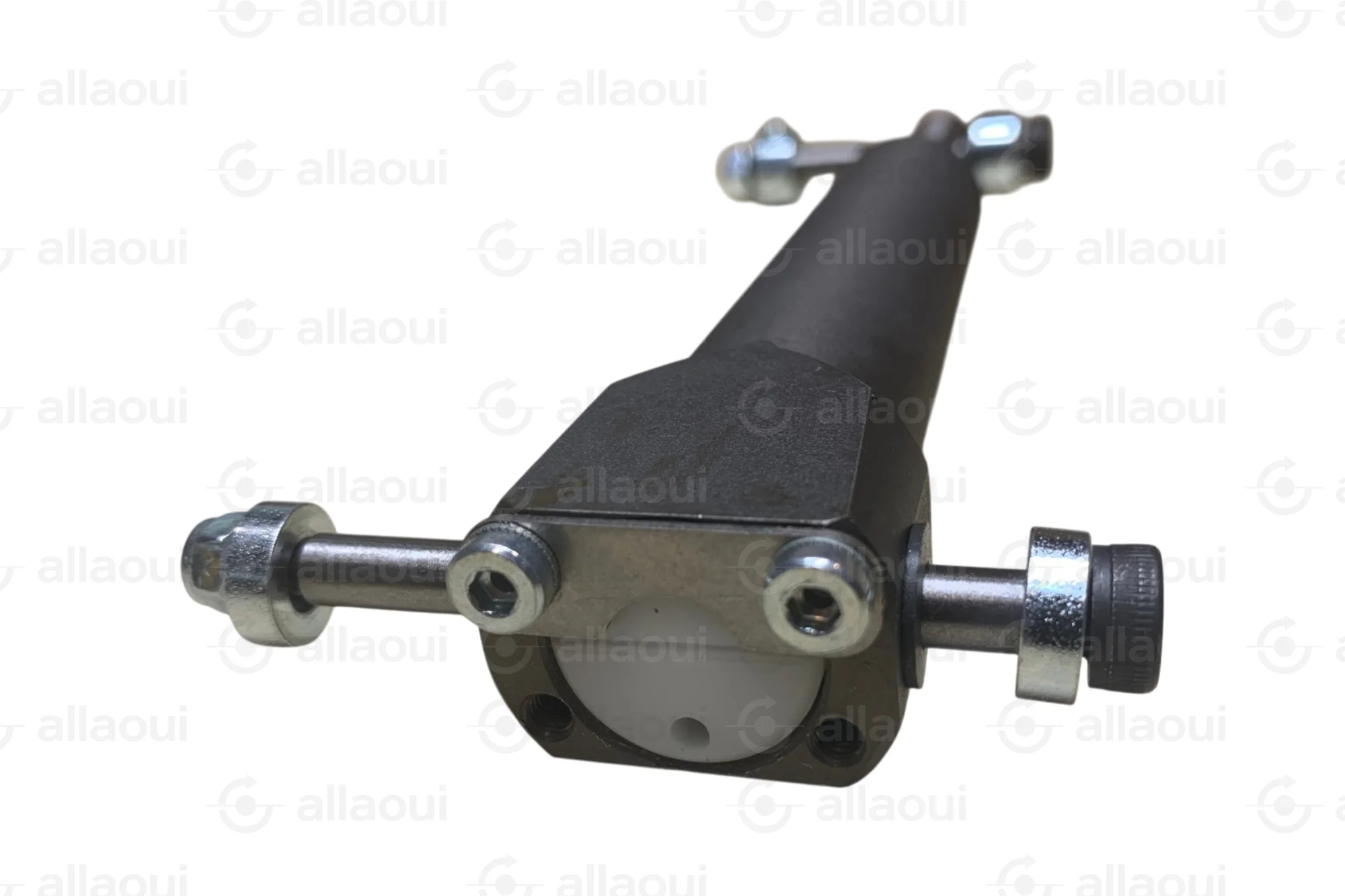Ferag Plunger 31236420