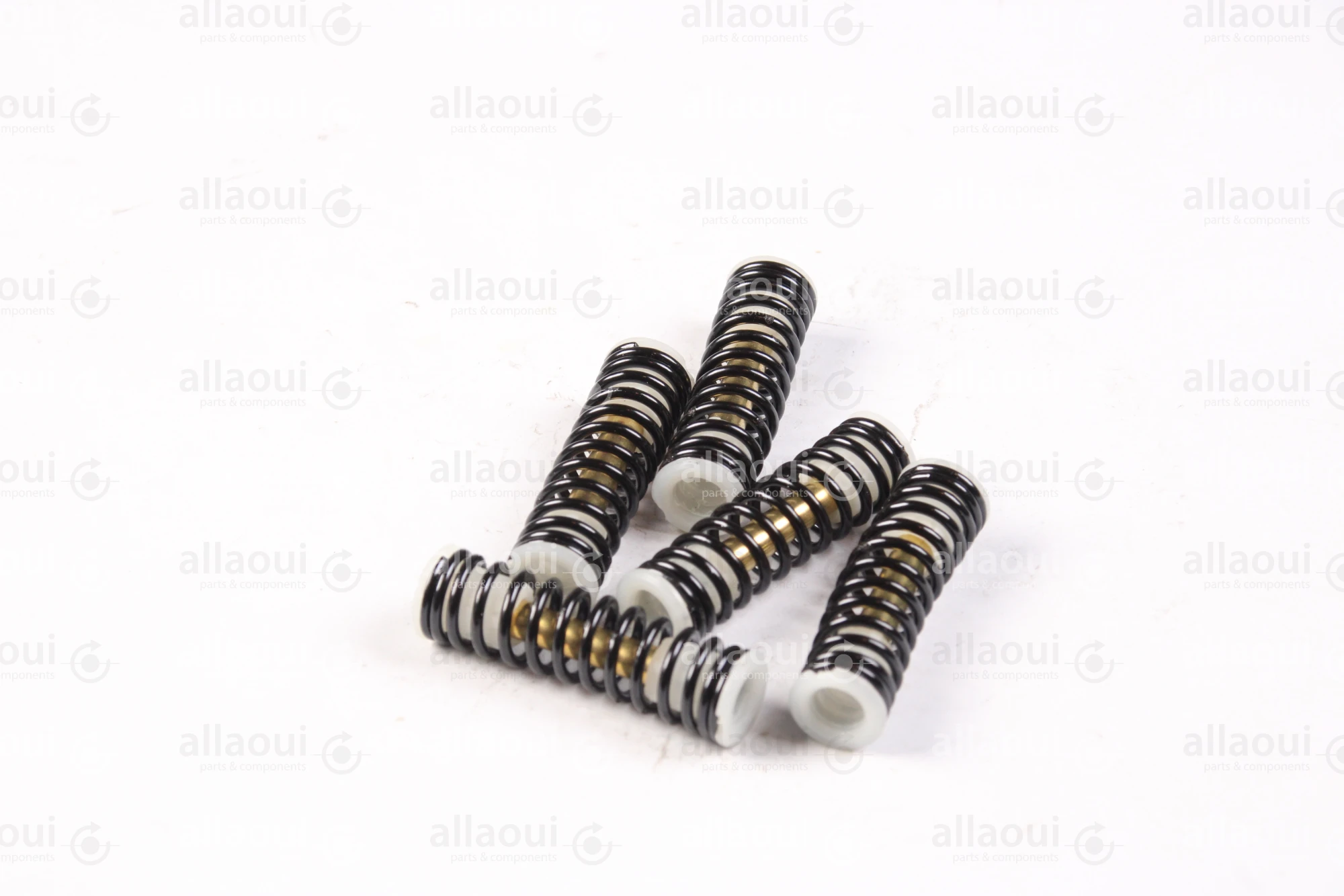 Technotrans Spring TTS-Paint Valve (5 Pieces) 0011205 Technotrans Spring TTS-Paint Valve (5 Pieces) 0011205