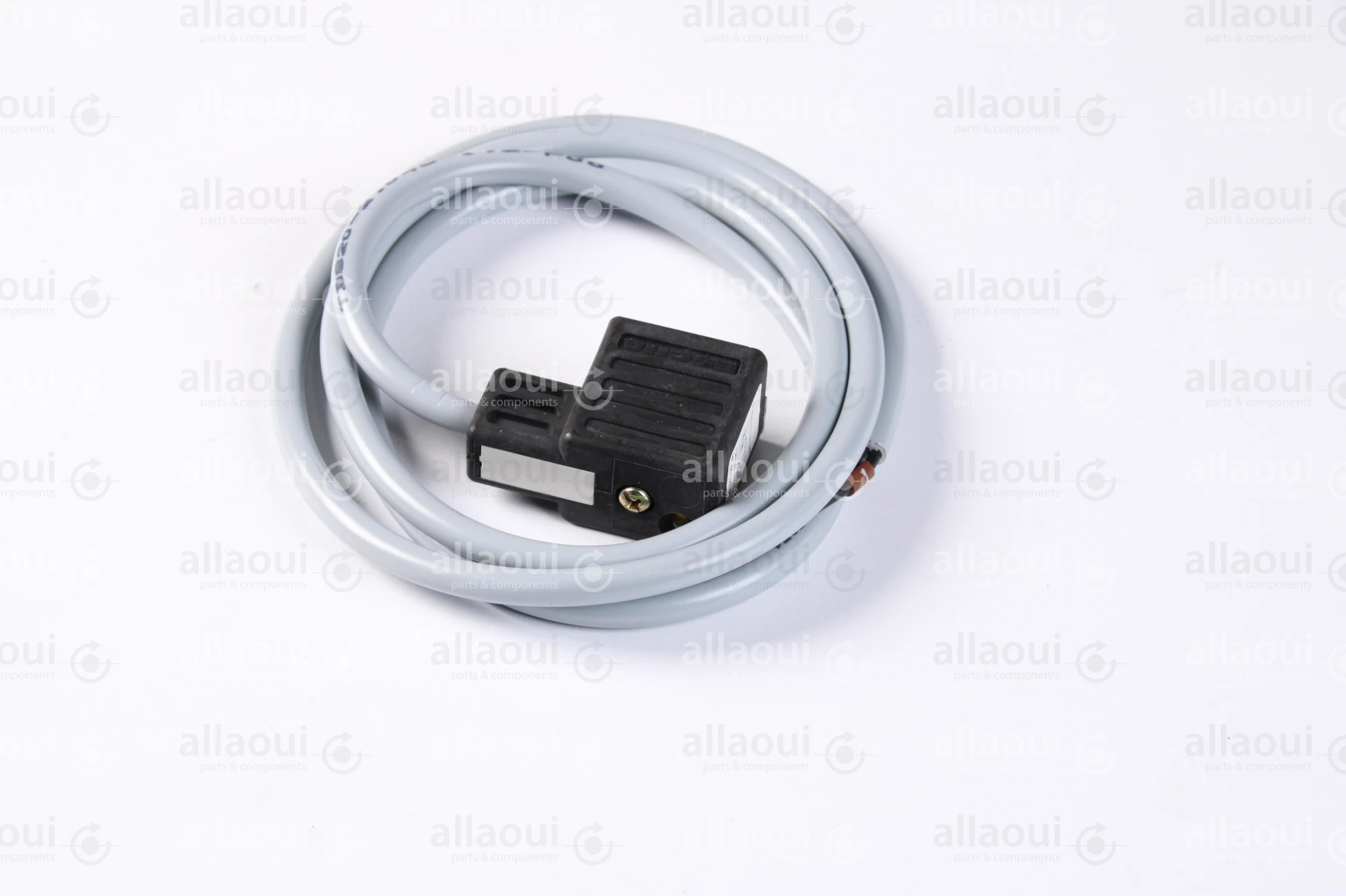 Escha 2-Pole Magnet Connector with Cable TBS20-2.048-1,2/P00 Escha 2-Pole Magnet Connector with Cable TBS20-2.048-1,2/P00