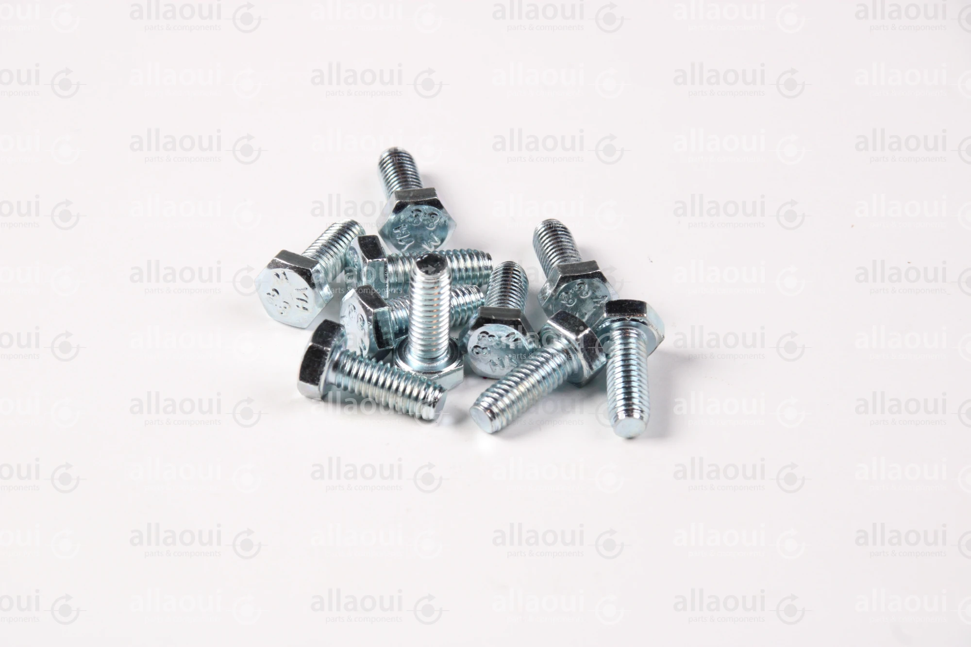 Contiweb Screw (10 Pieces) WH.100147002