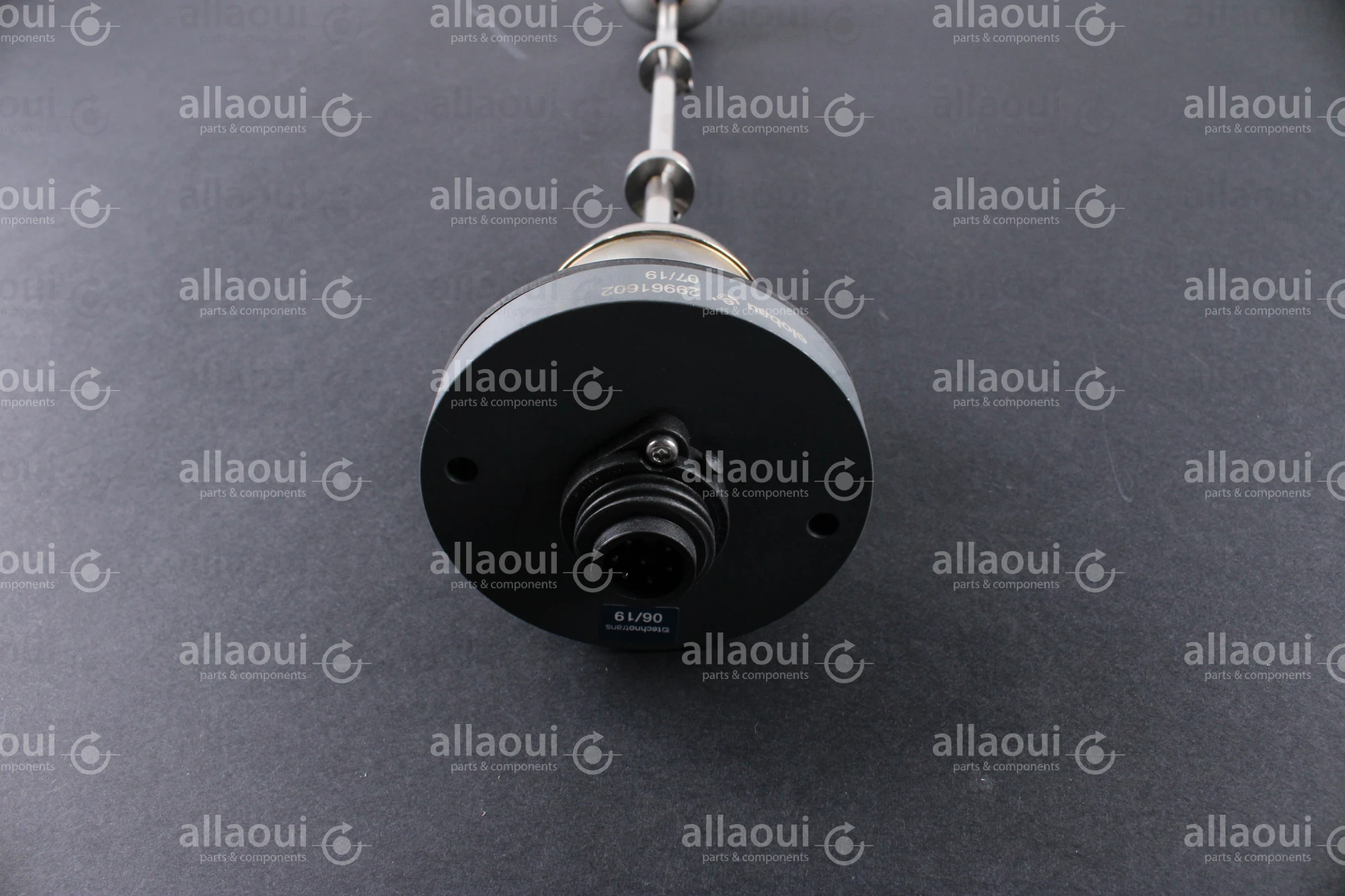 Technotrans Float Switch 065155307