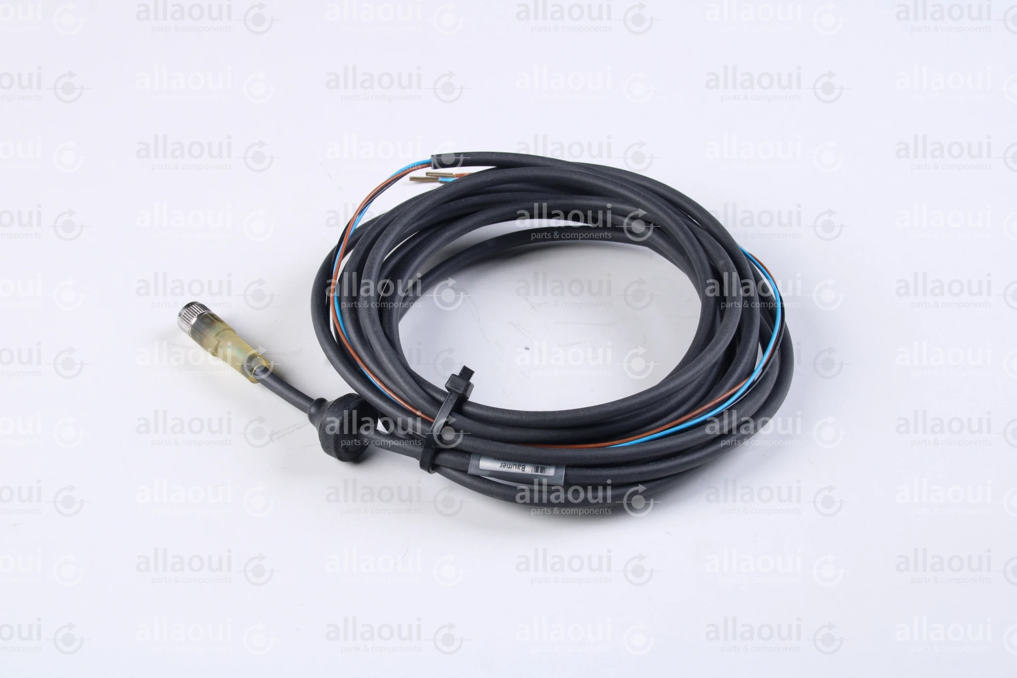 Baumer Connecting Line ESG 32SH0110/404335 Baumer Connecting Line ESG 32SH0110/404335