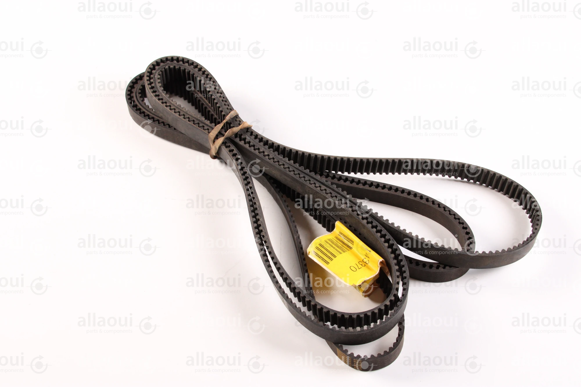 Horizon Toothed Belt 9400-55204 Horizon Toothed Belt 9400-55204