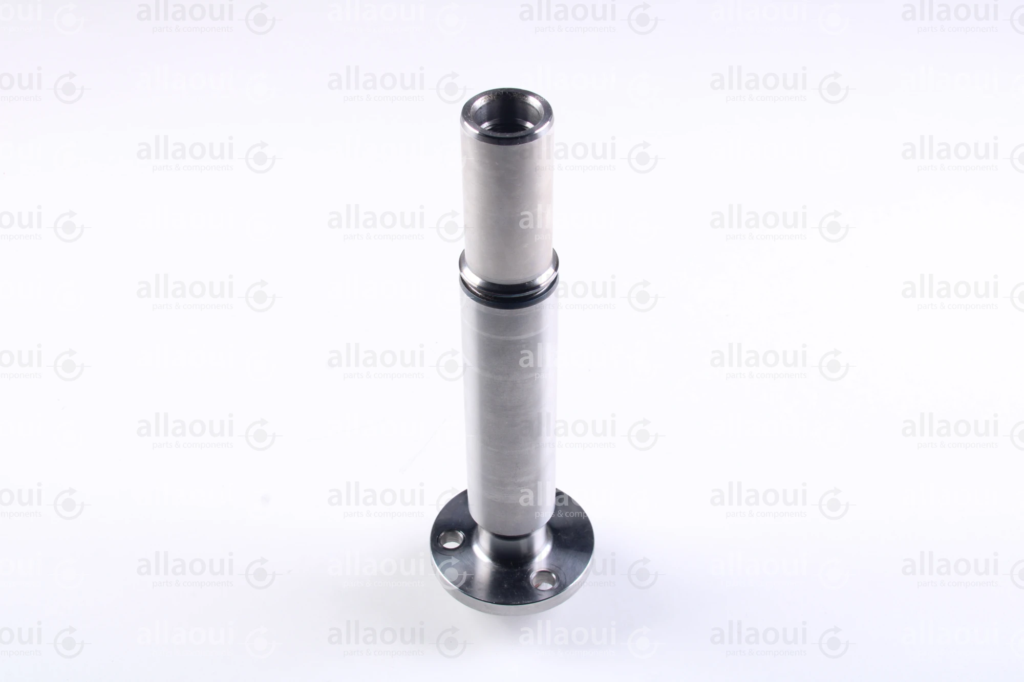 Heidelberg Journal F2.009.019 Heidelberg Journal F2.009.019