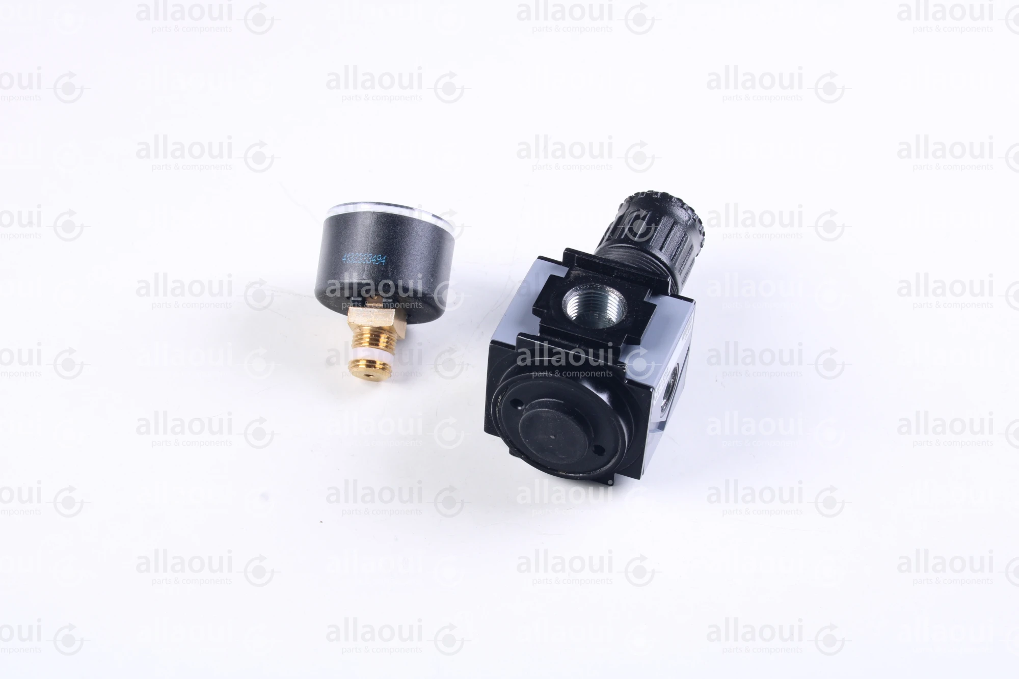 EWO Pressure Regulator 481.233