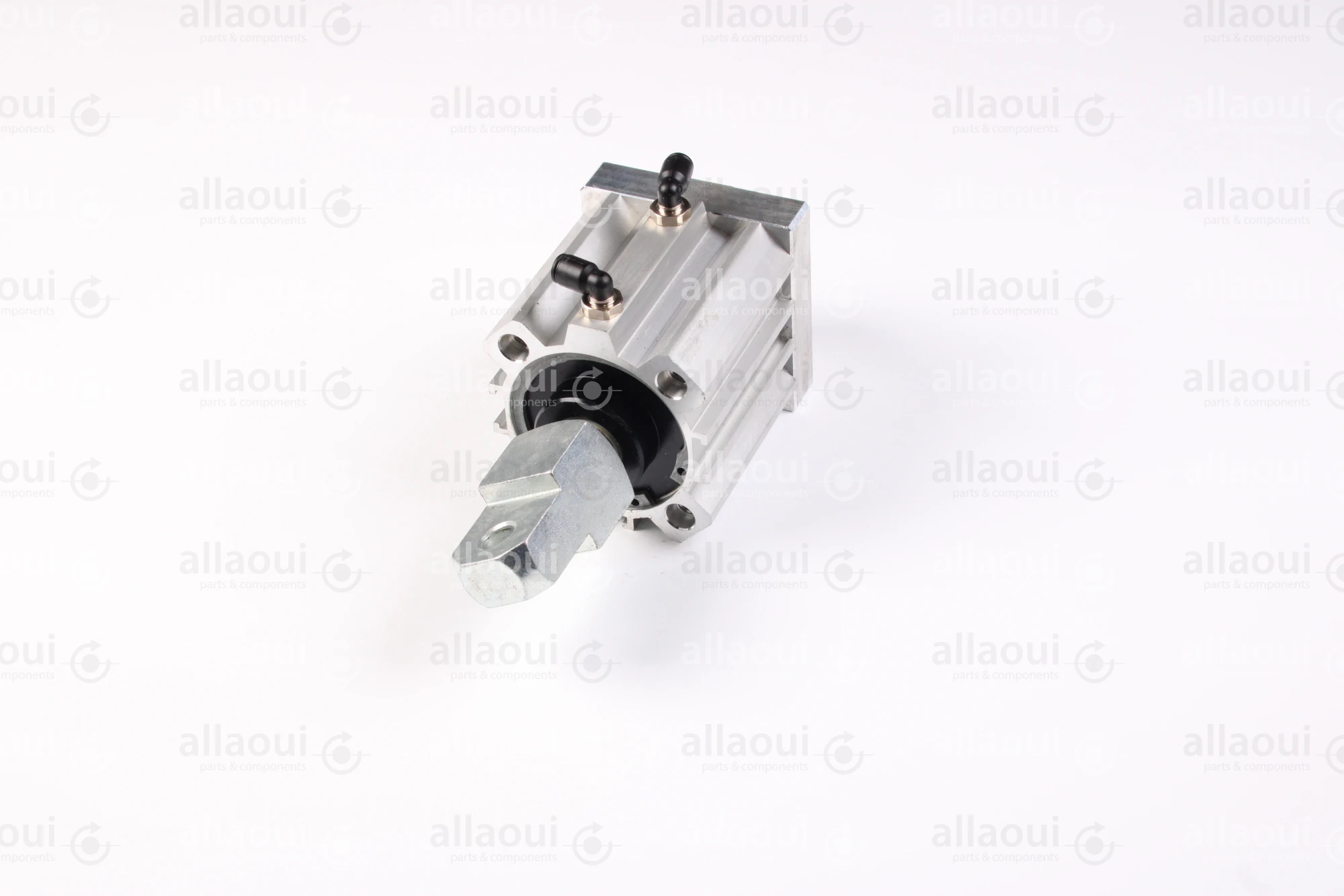 Elettra Pneumatic Cylinder 1026652-00 Elettra Pneumatic Cylinder 1026652-00