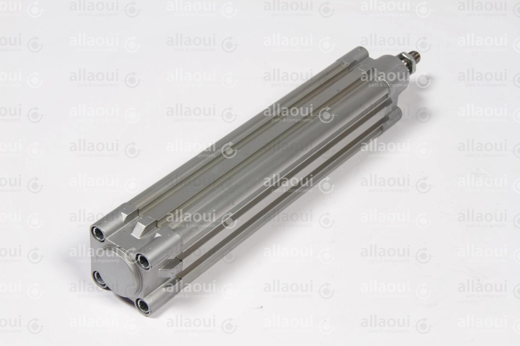 Festo Pneumatic Cylinder DNC-32-160-PPV-A Festo Pneumatic Cylinder DNC-32-160-PPV-A