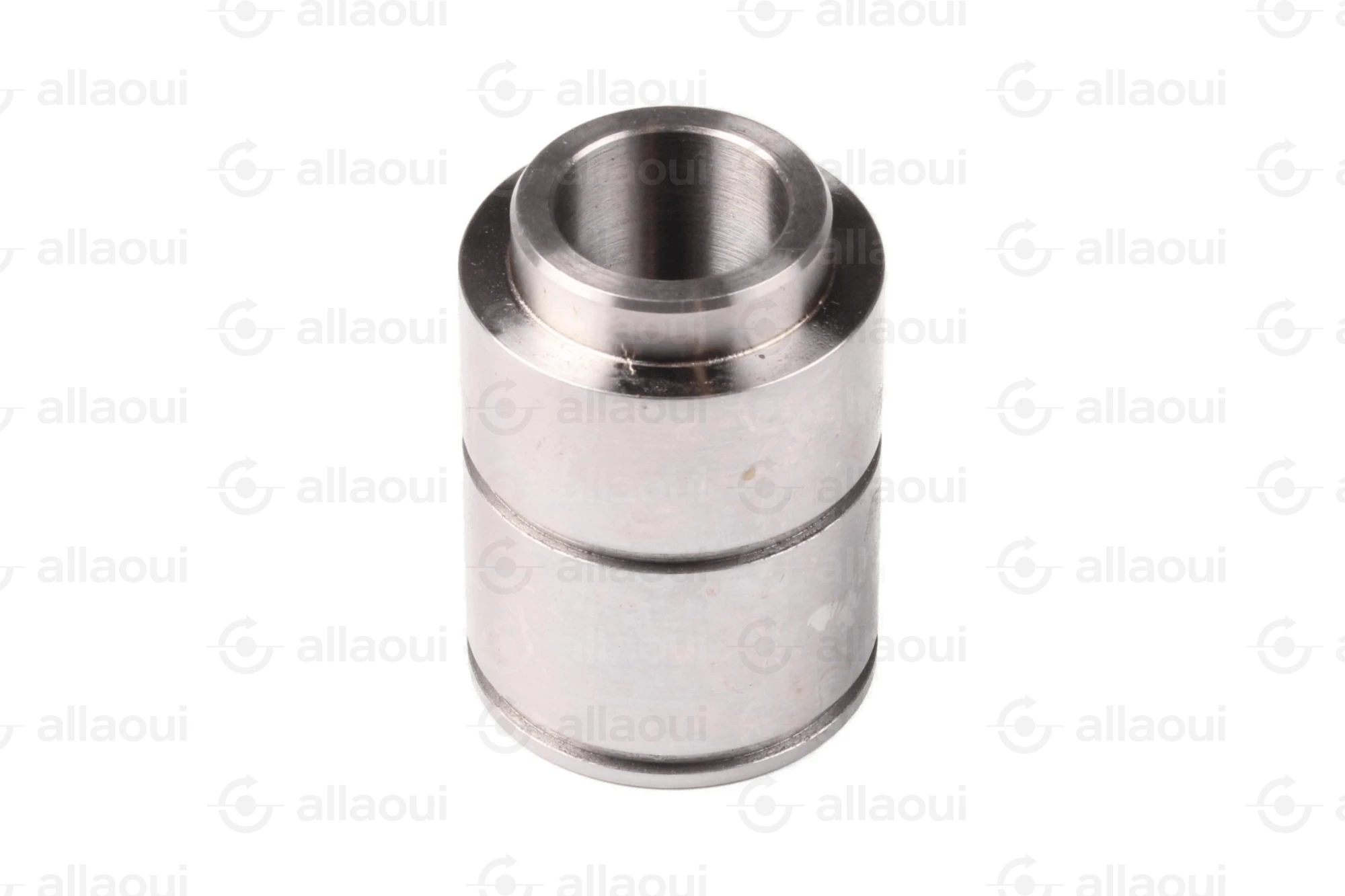 Manroland Bearing Journal 16.52511-0006