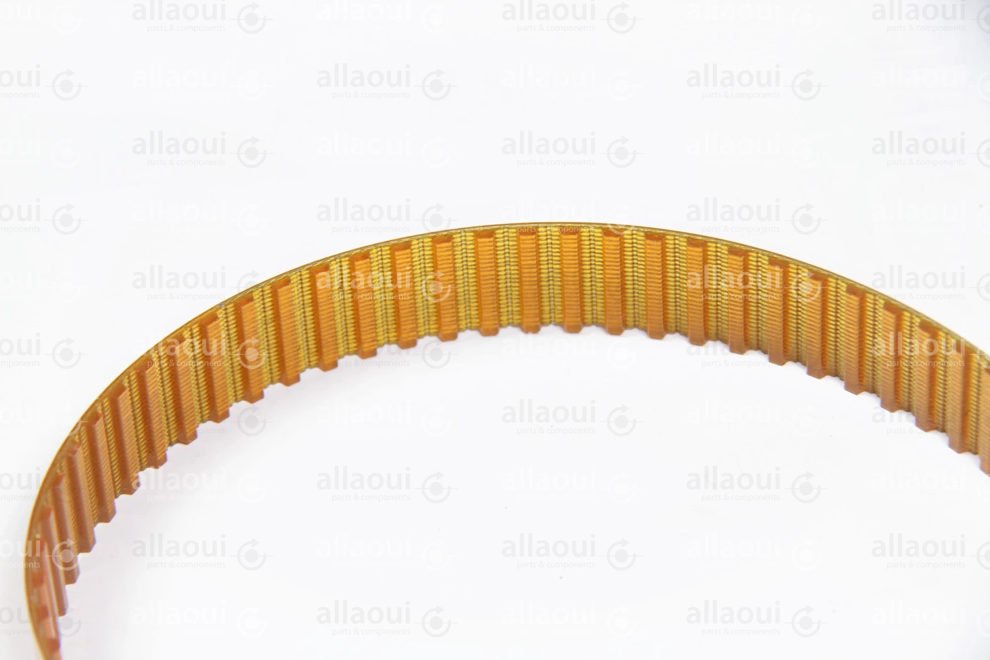 Müller Martini Toothed Belt 3738.1234.4 Müller Martini Toothed Belt 3738.1234.4