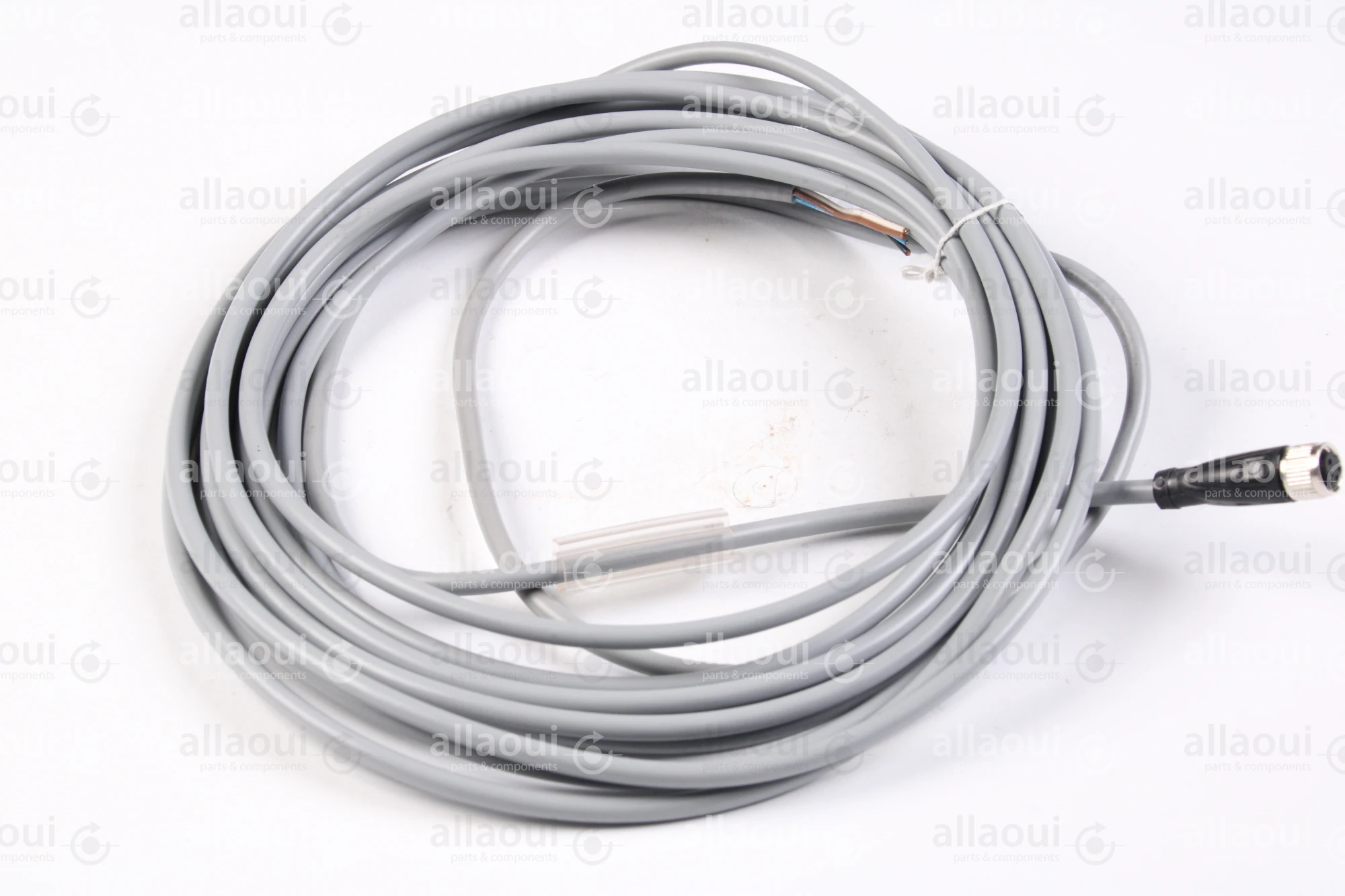 PEPPERL+FUCHS Female cordset V31-GM-5M-PVC PEPPERL+FUCHS Female cordset V31-GM-5M-PVC