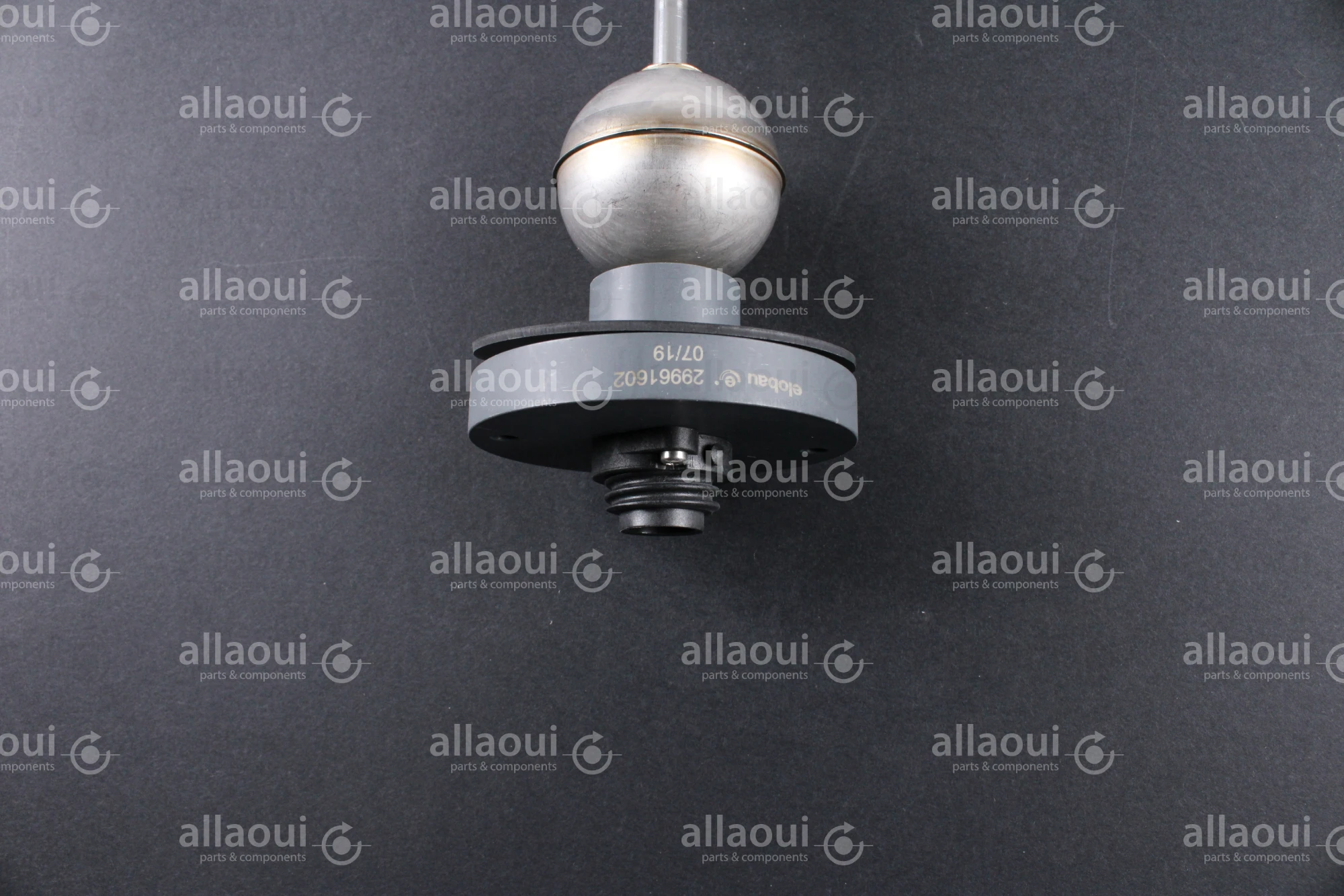Technotrans Float Switch 065155307