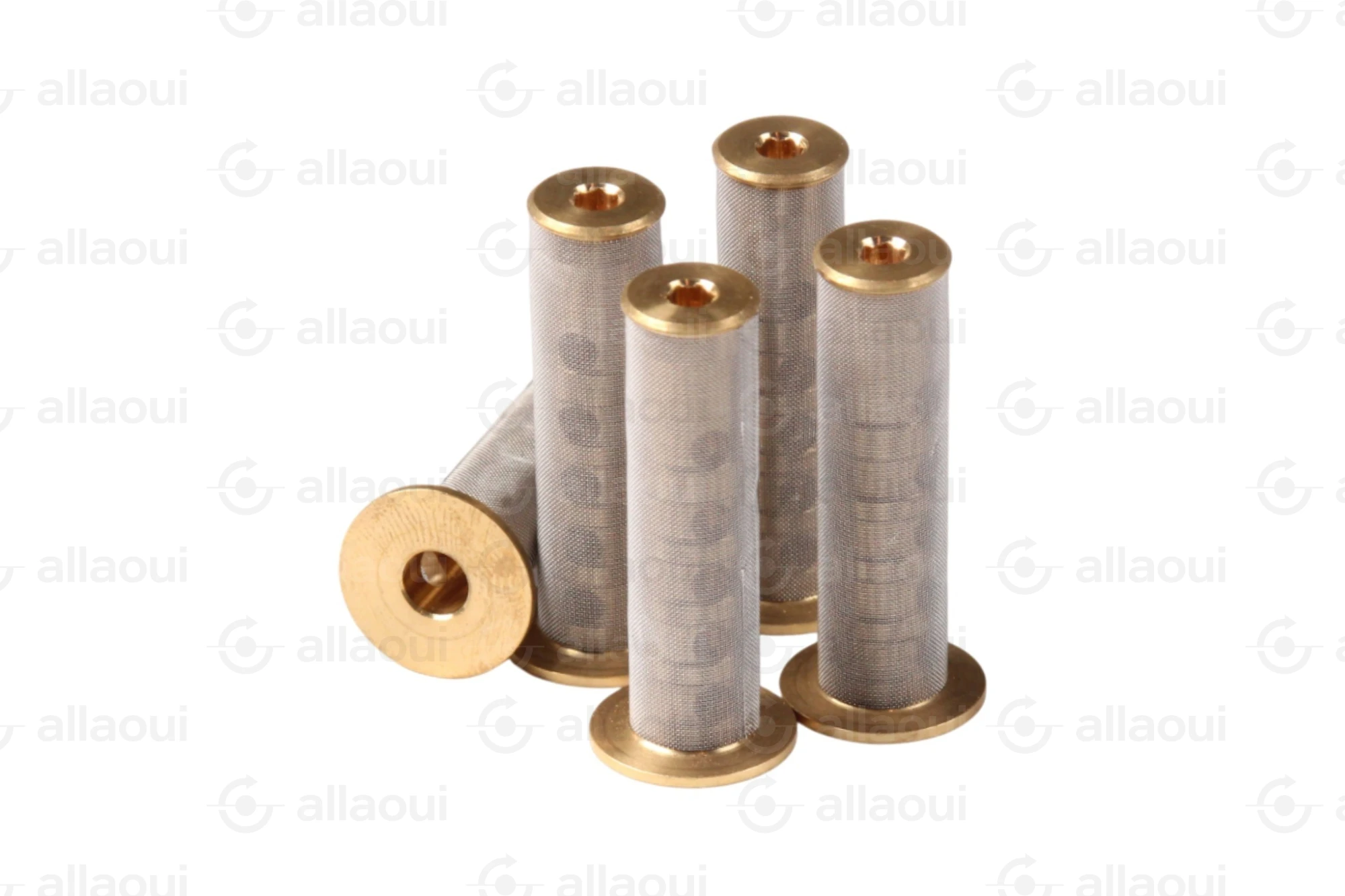 Elettra S.r.l. Mesh Filter (5 Pieces) 9000218-00