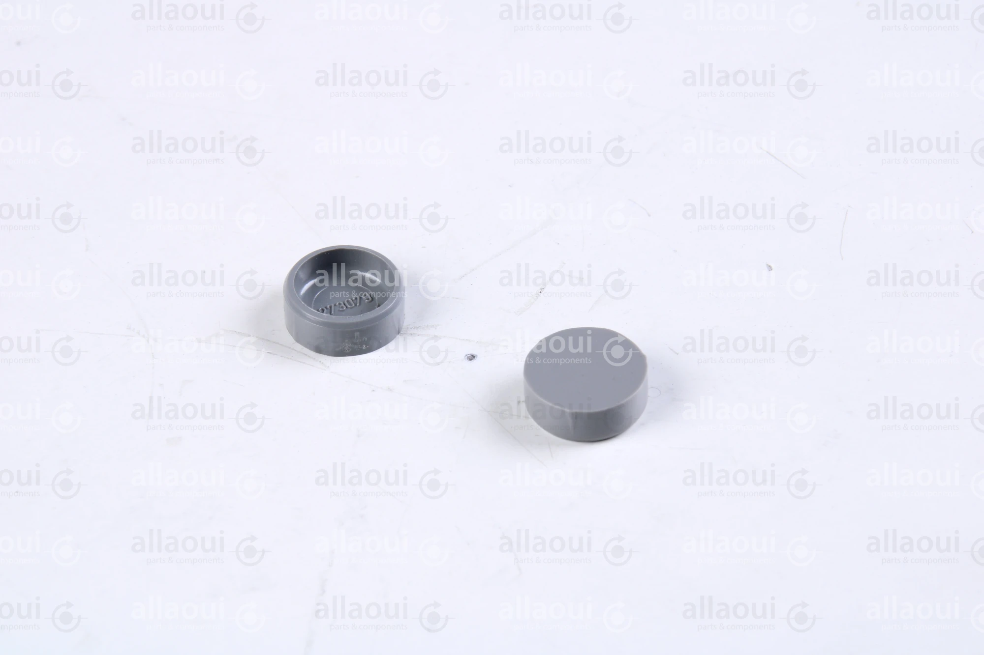 Heidelberg Closing plug (2 Pieces) ZA3273079 Heidelberg Closing plug (2 Pieces) ZA3273079