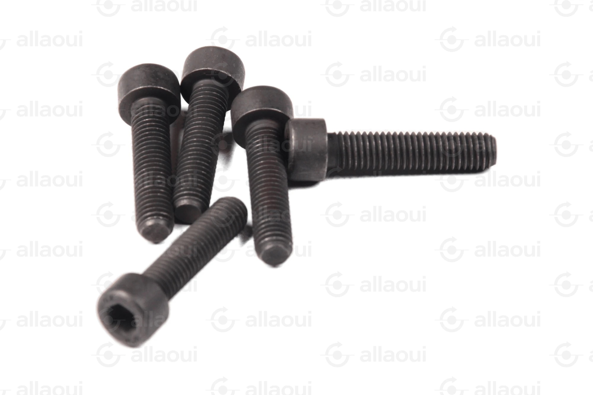 Manroland Cylinder Screw (5 pieces) 06.02093-0411