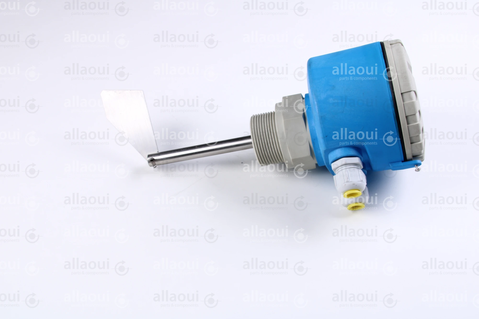 Endress-Hauser Point level switch Soliswitch FTE30 Endress-Hauser Point level switch Soliswitch FTE30