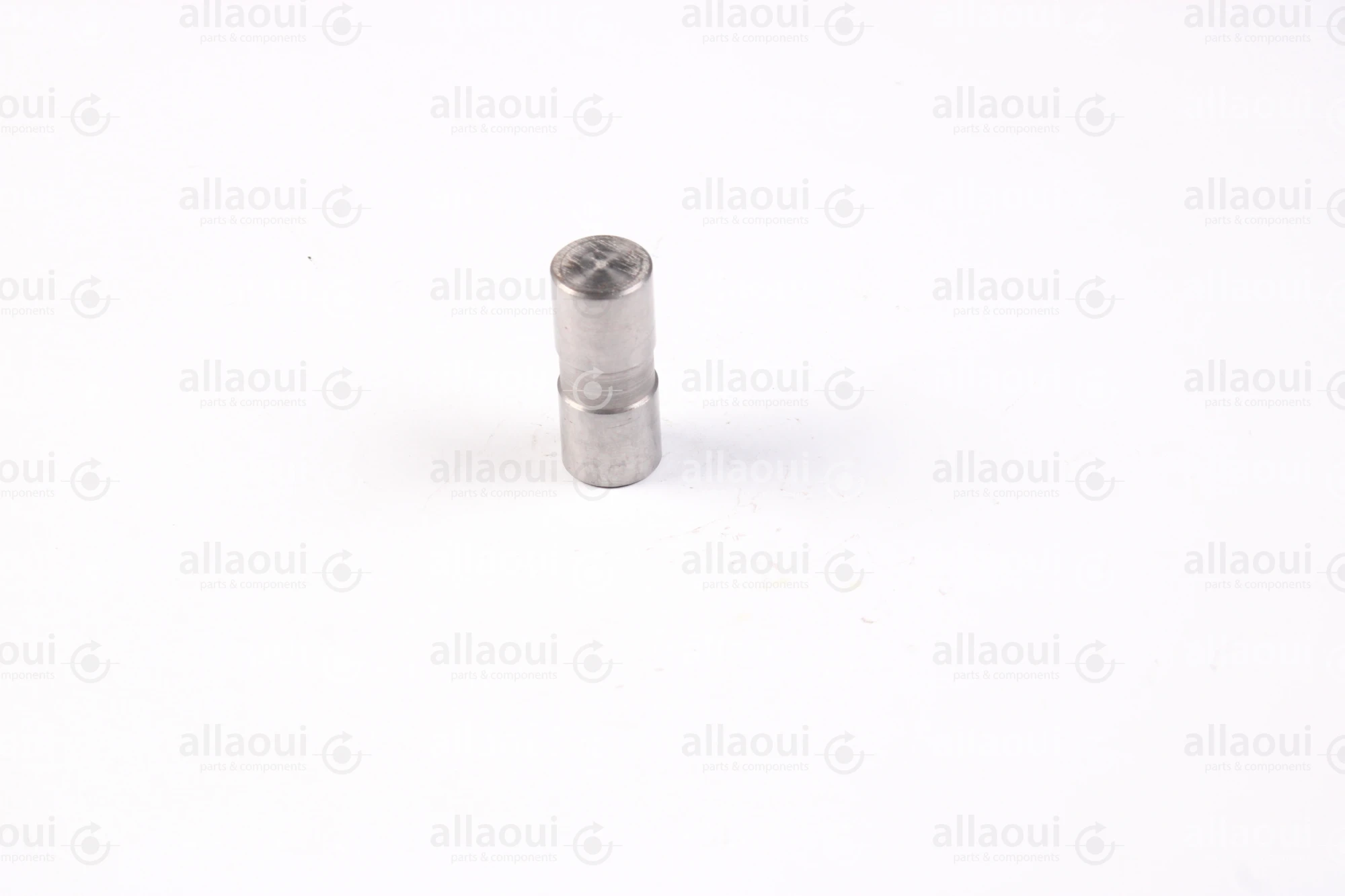 Ferag Axis (5 pieces) 31235314 Ferag Axis (5 pieces) 31235314