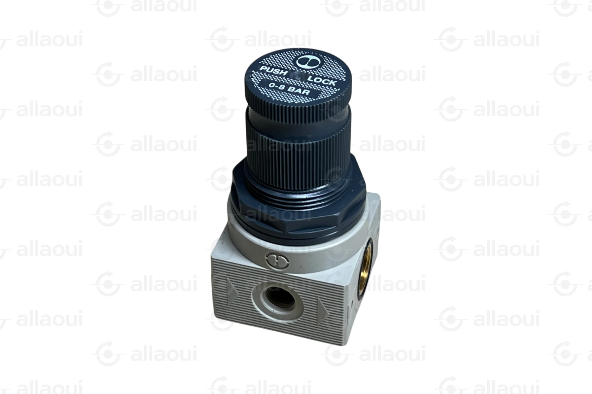 Metal Work Micro Pressure Regulator 1/4 Inch 5207003