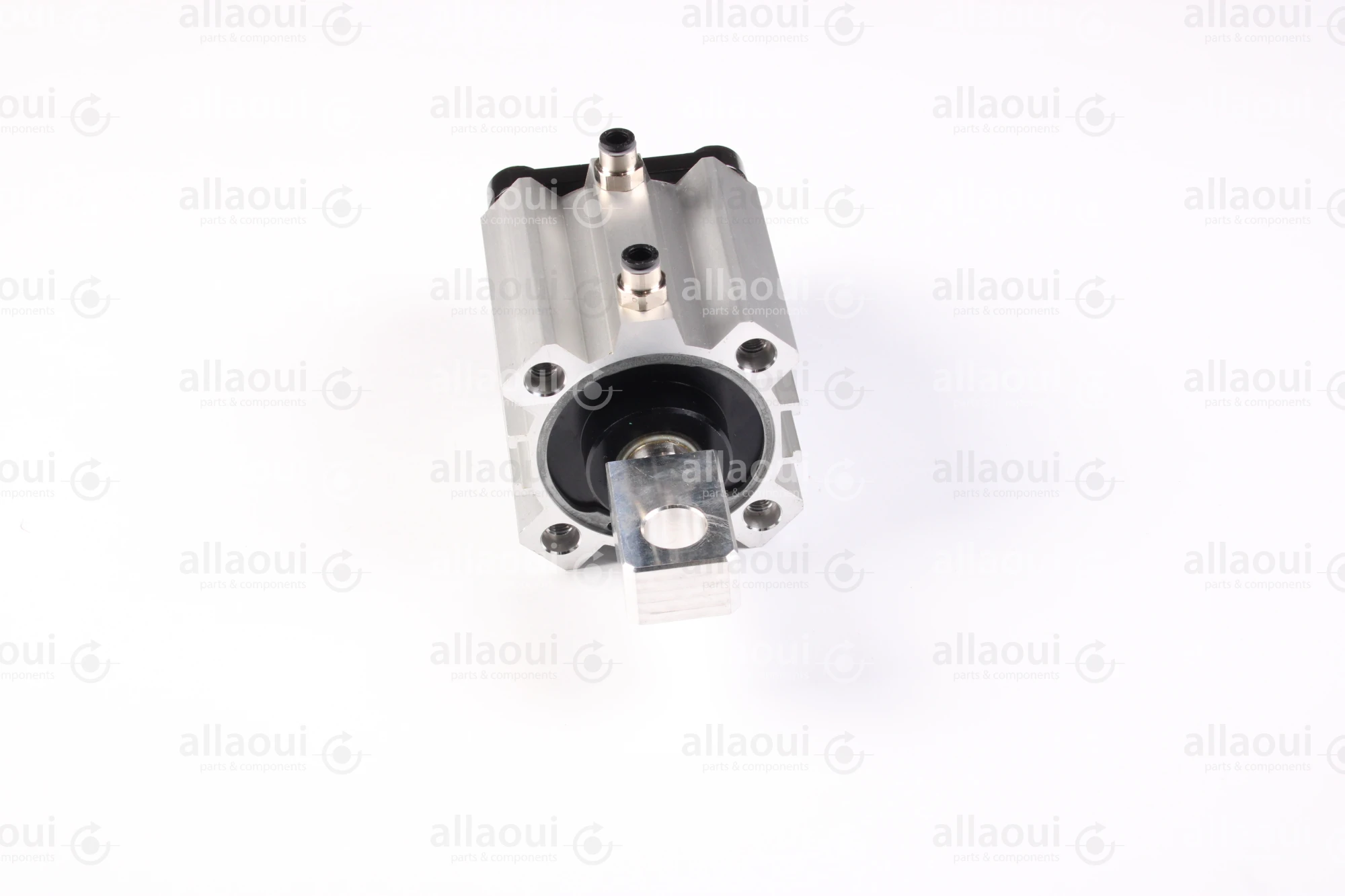 Elettra S.r.l Pneumatic Cylinder 1026653-00 Elettra S.r.l Pneumatic Cylinder 1026653-00