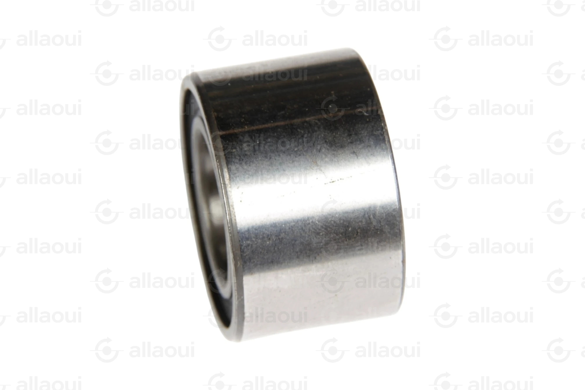 INA Bearing