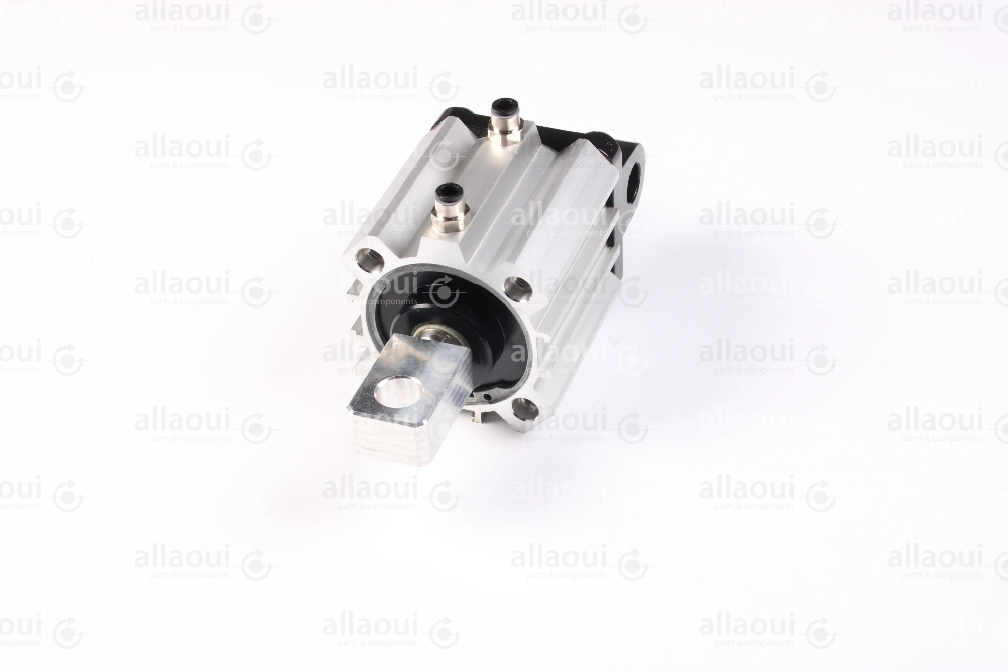 Elettra S.r.l Pneumatic Cylinder 1026653-00 Elettra S.r.l Pneumatic Cylinder 1026653-00