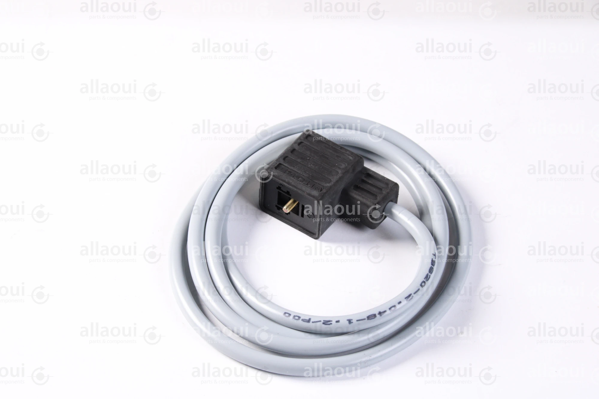 Escha 2-Pole Magnet Connector with Cable TBS20-2.048-1,2/P00 Escha 2-Pole Magnet Connector with Cable TBS20-2.048-1,2/P00