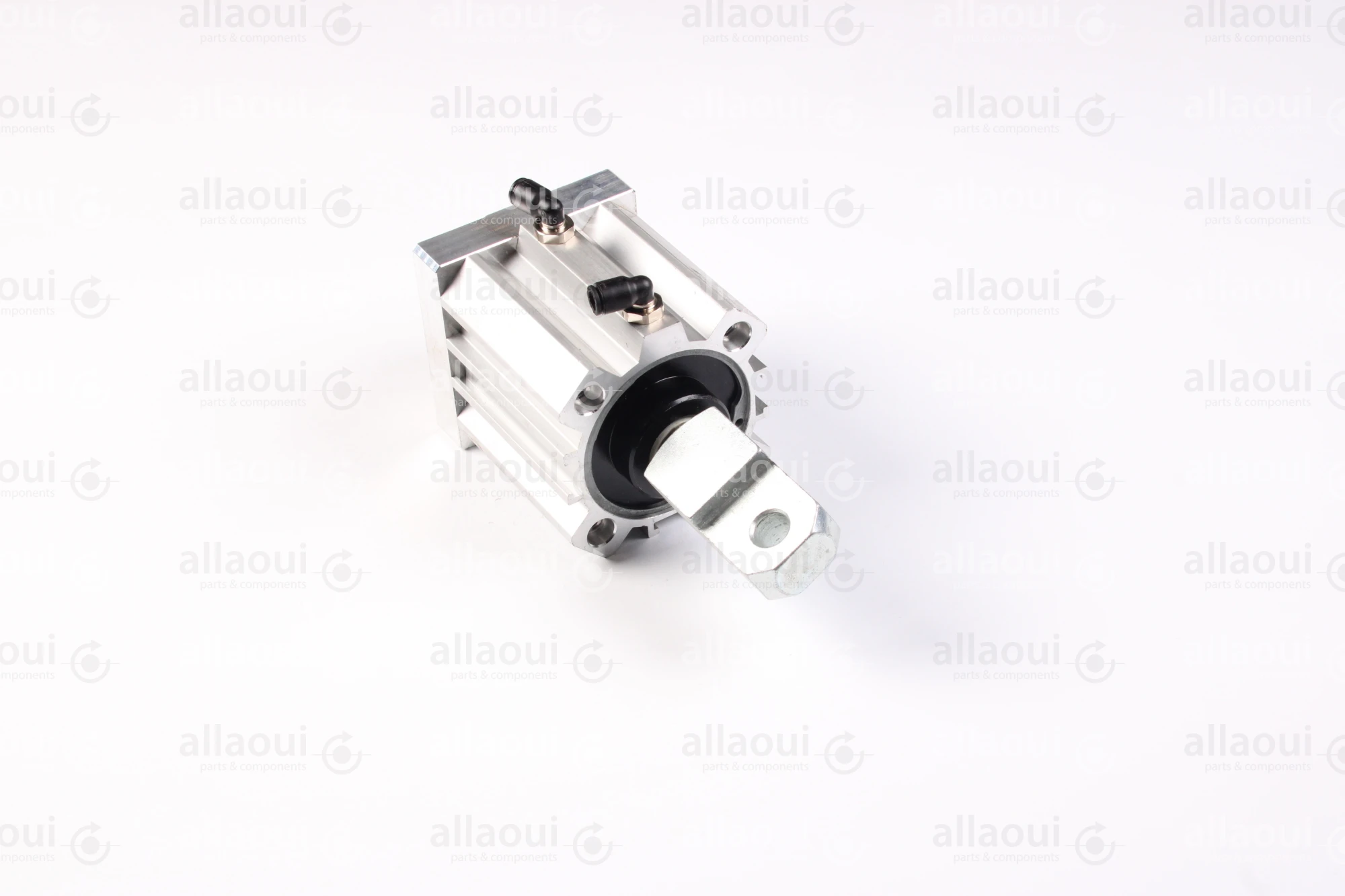 Elettra Pneumatic Cylinder 1026652-00 Elettra Pneumatic Cylinder 1026652-00