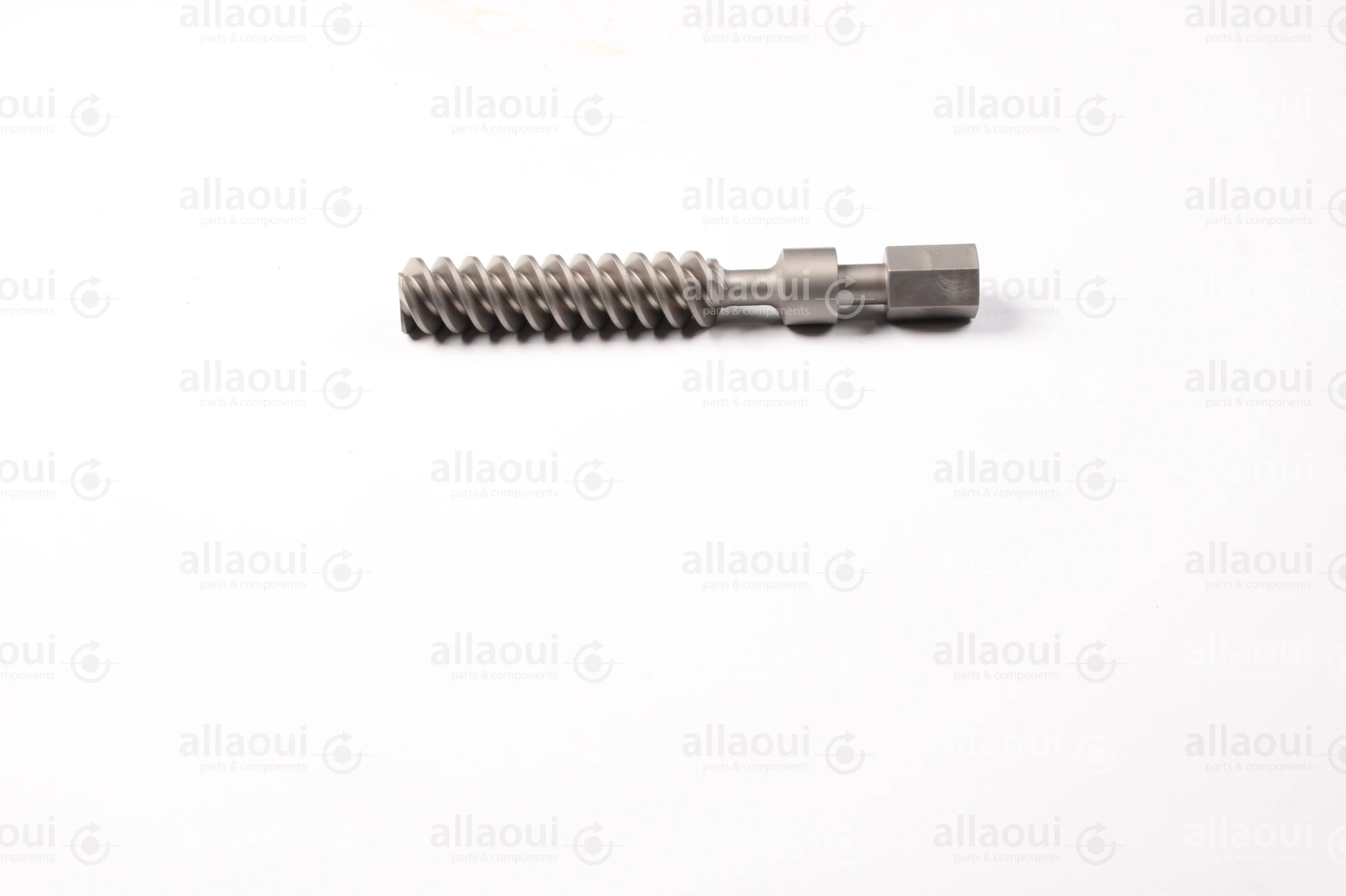 Manroland Worm Spindle 16.04160-0029 Manroland Worm Spindle 16.04160-0029